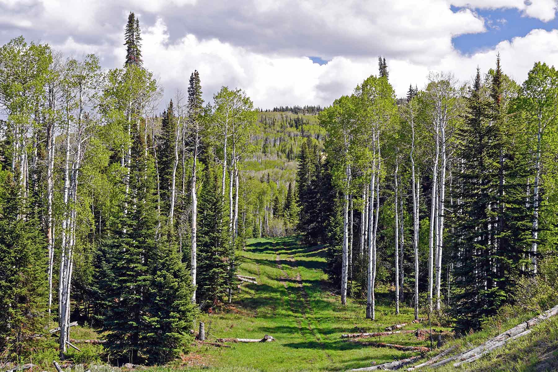 Motherwell Ranch property picture 124 of 128