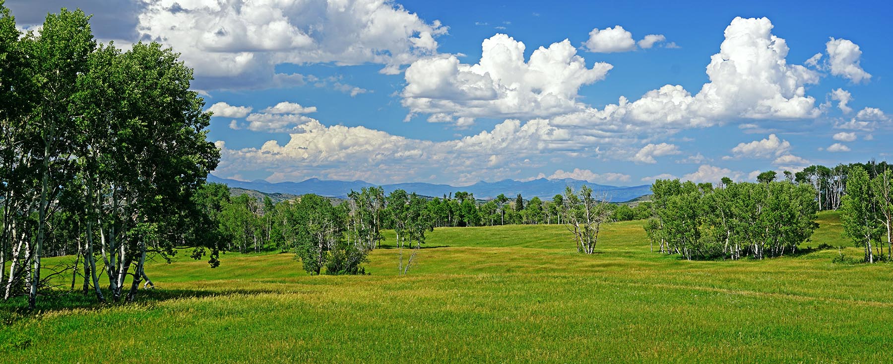 Motherwell Ranch property picture 58 of 128