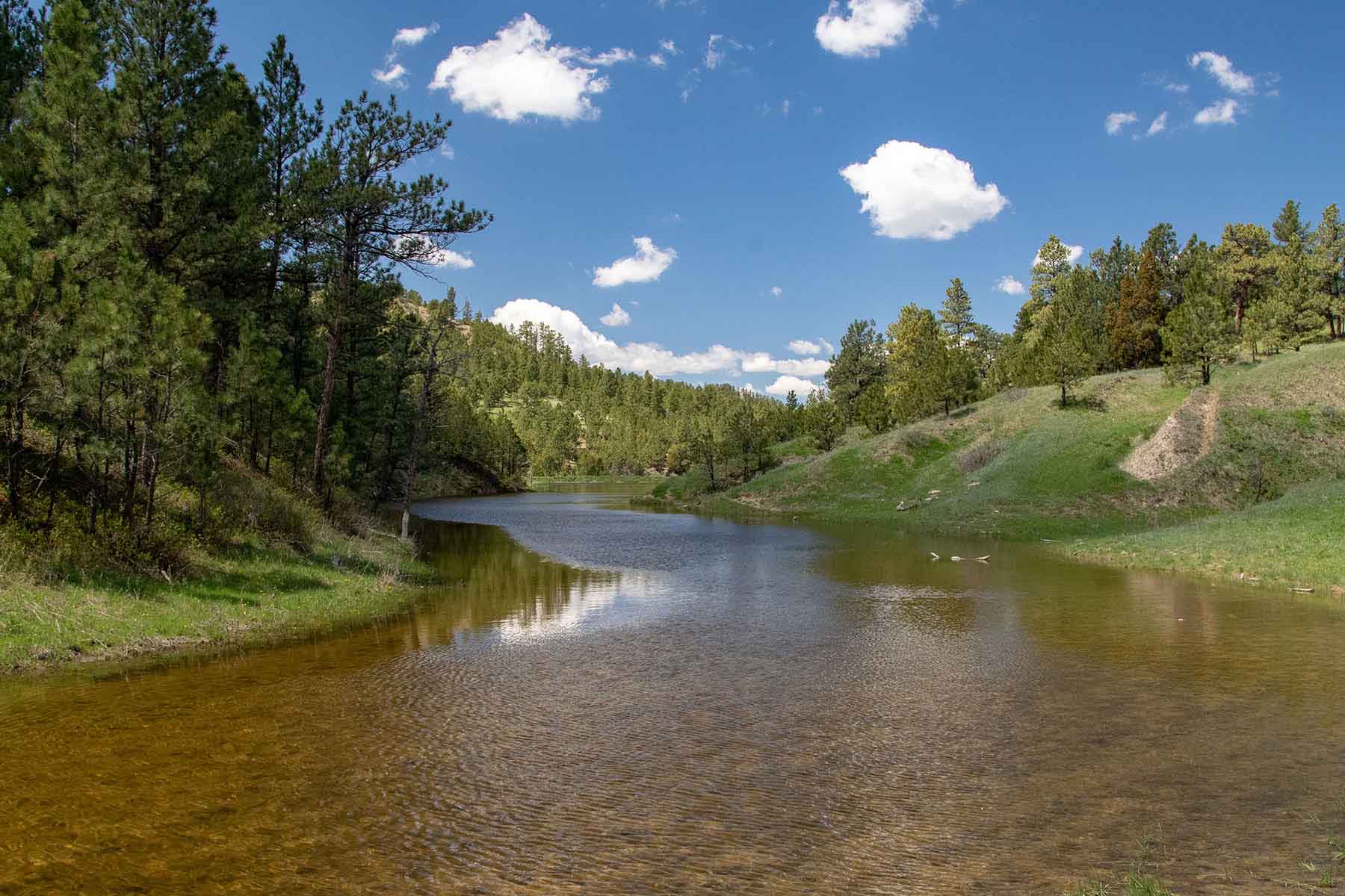 SweetGrass Ranch property picture 2 of 37