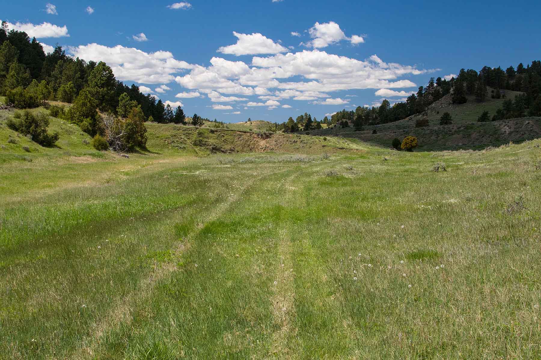 SweetGrass Ranch property picture 6 of 37