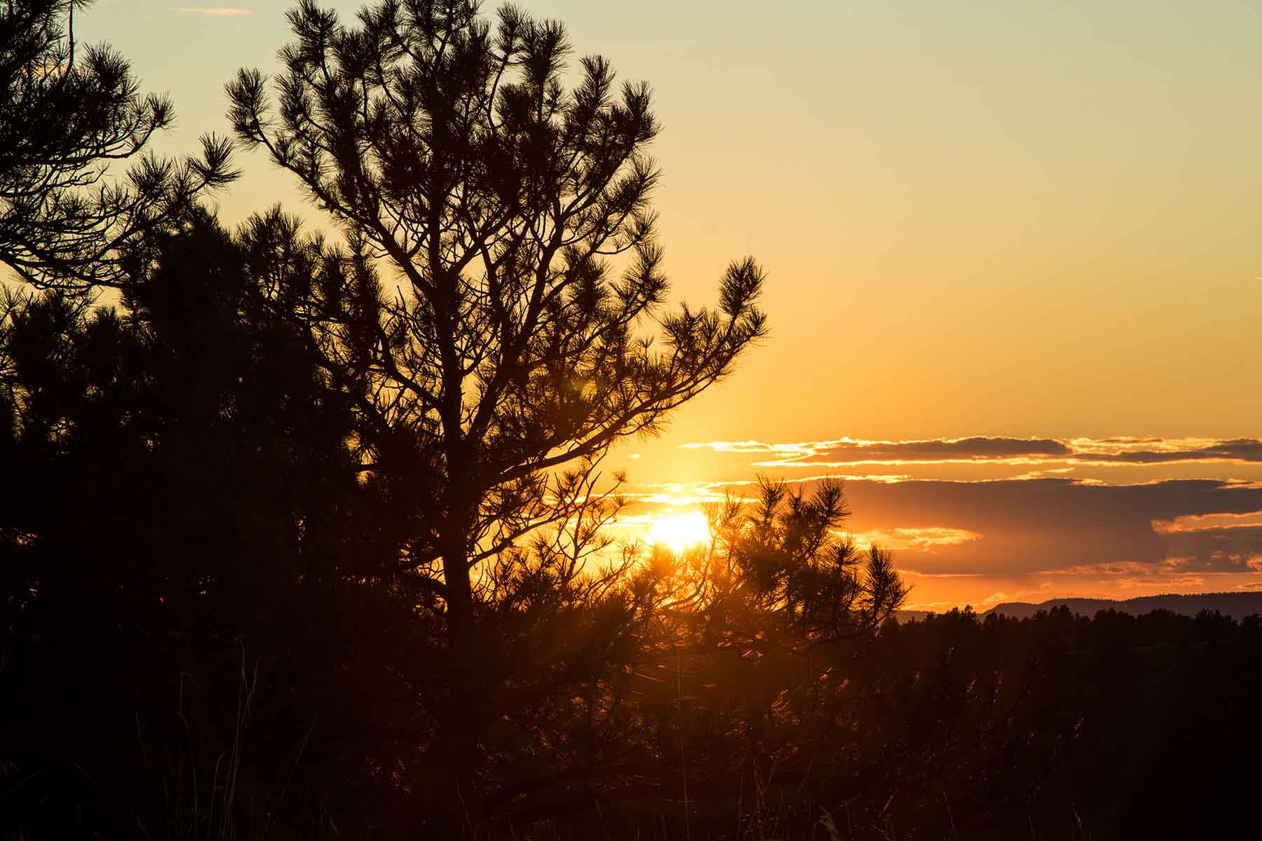 SweetGrass Ranch property picture 10 of 37