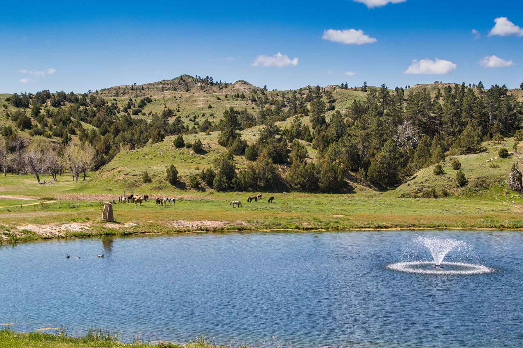 SweetGrass Ranch property picture 22 of 37