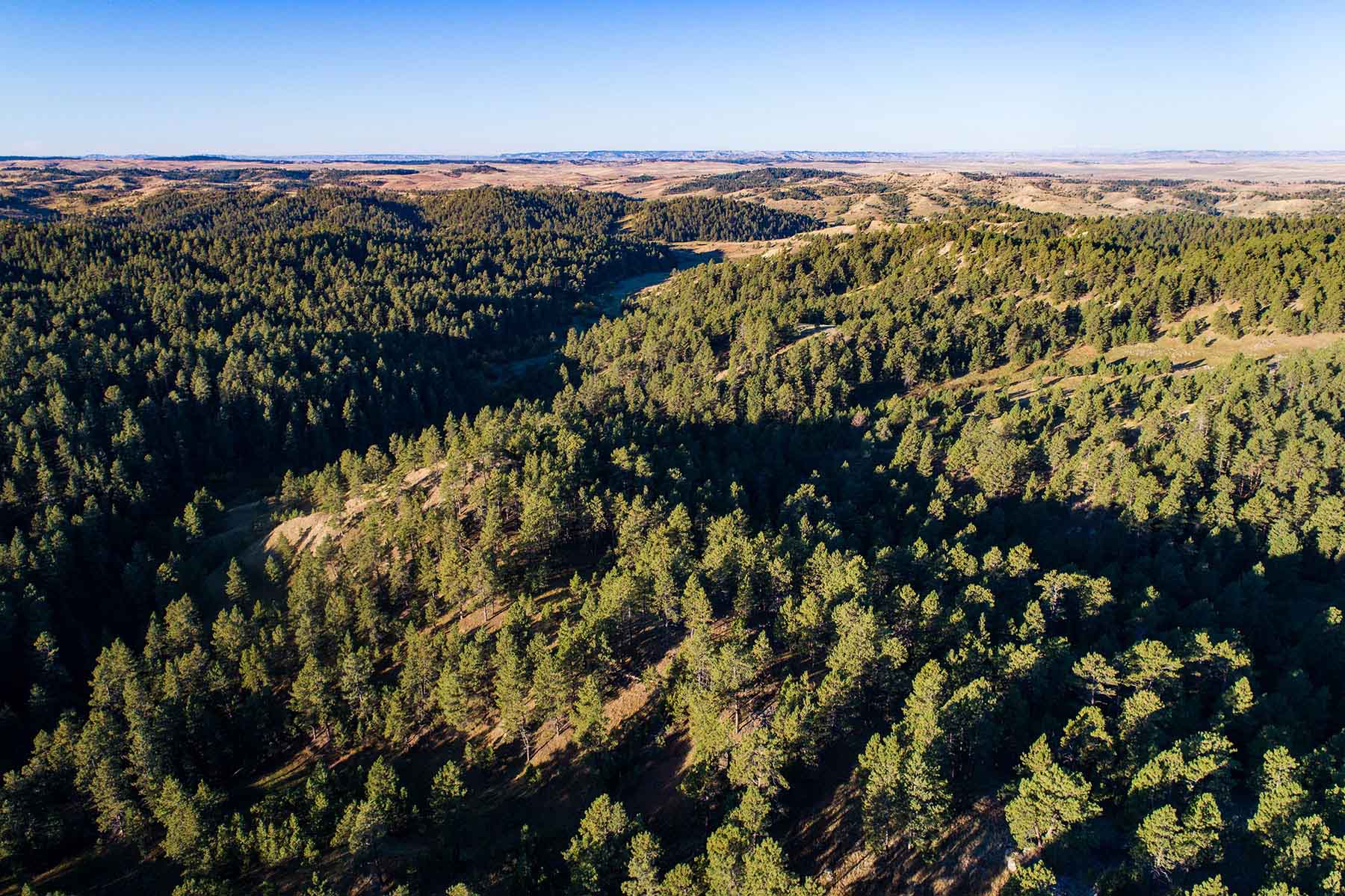 SweetGrass Ranch property picture 11 of 37