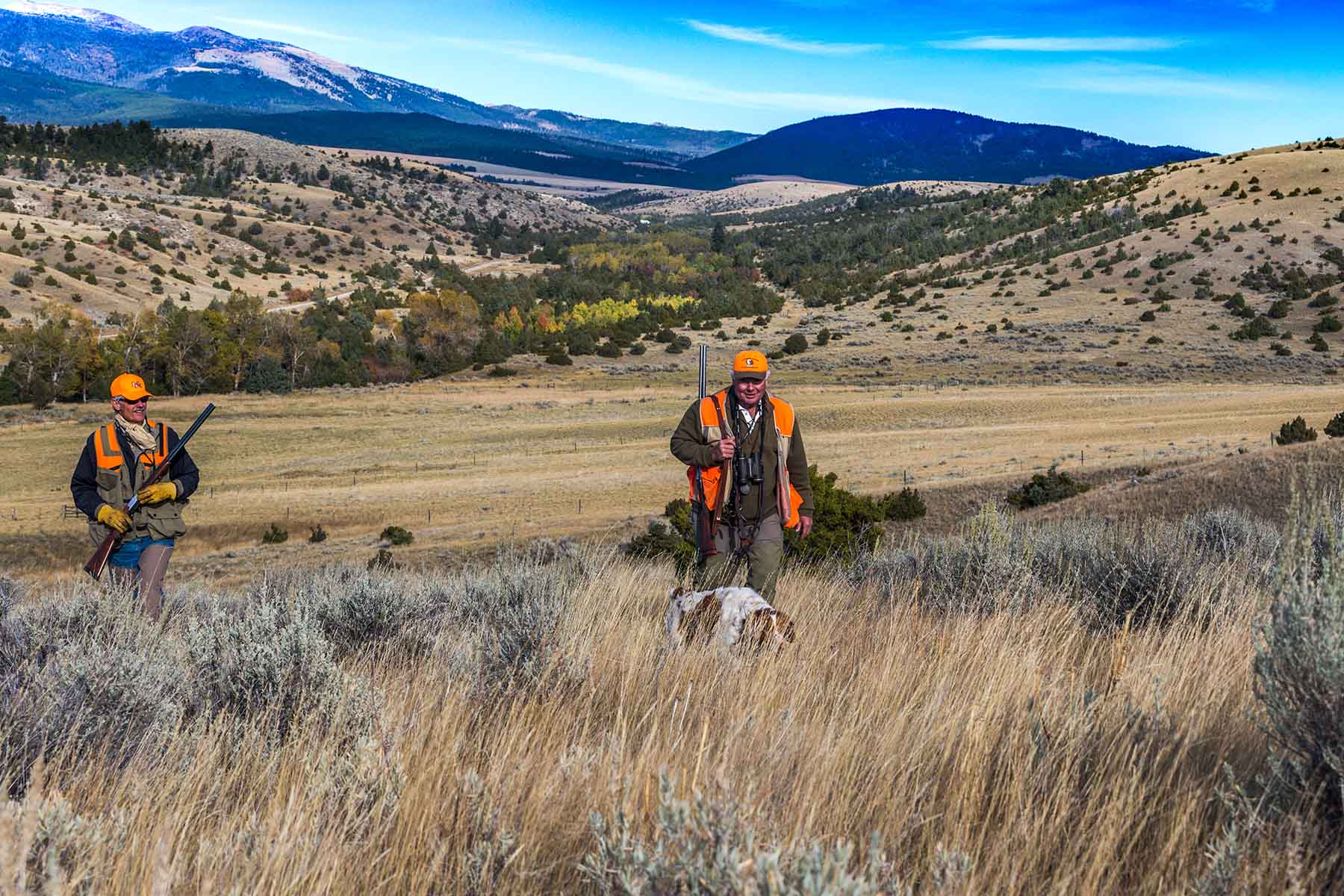 Lippert Gulch Ranch property picture 11 of 39