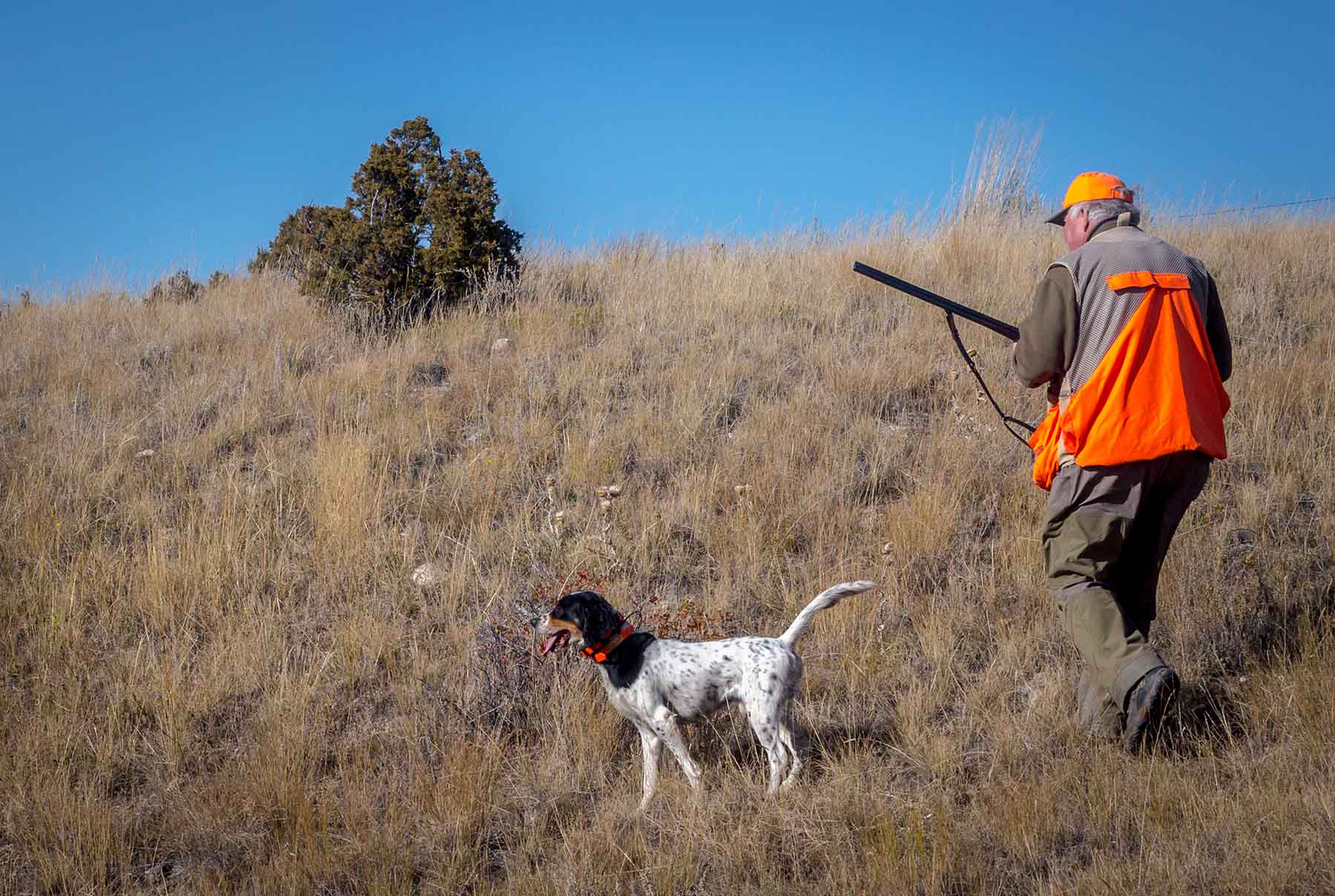Lippert Gulch Ranch property picture 4 of 39