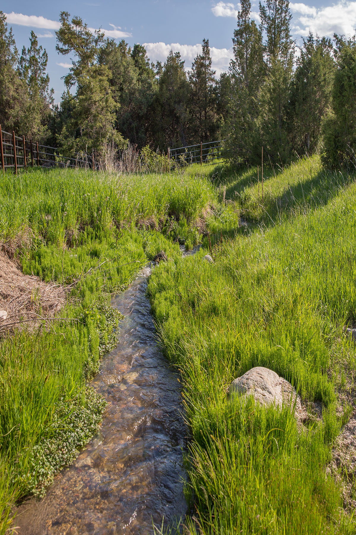 Lippert Gulch Ranch property picture 31 of 39