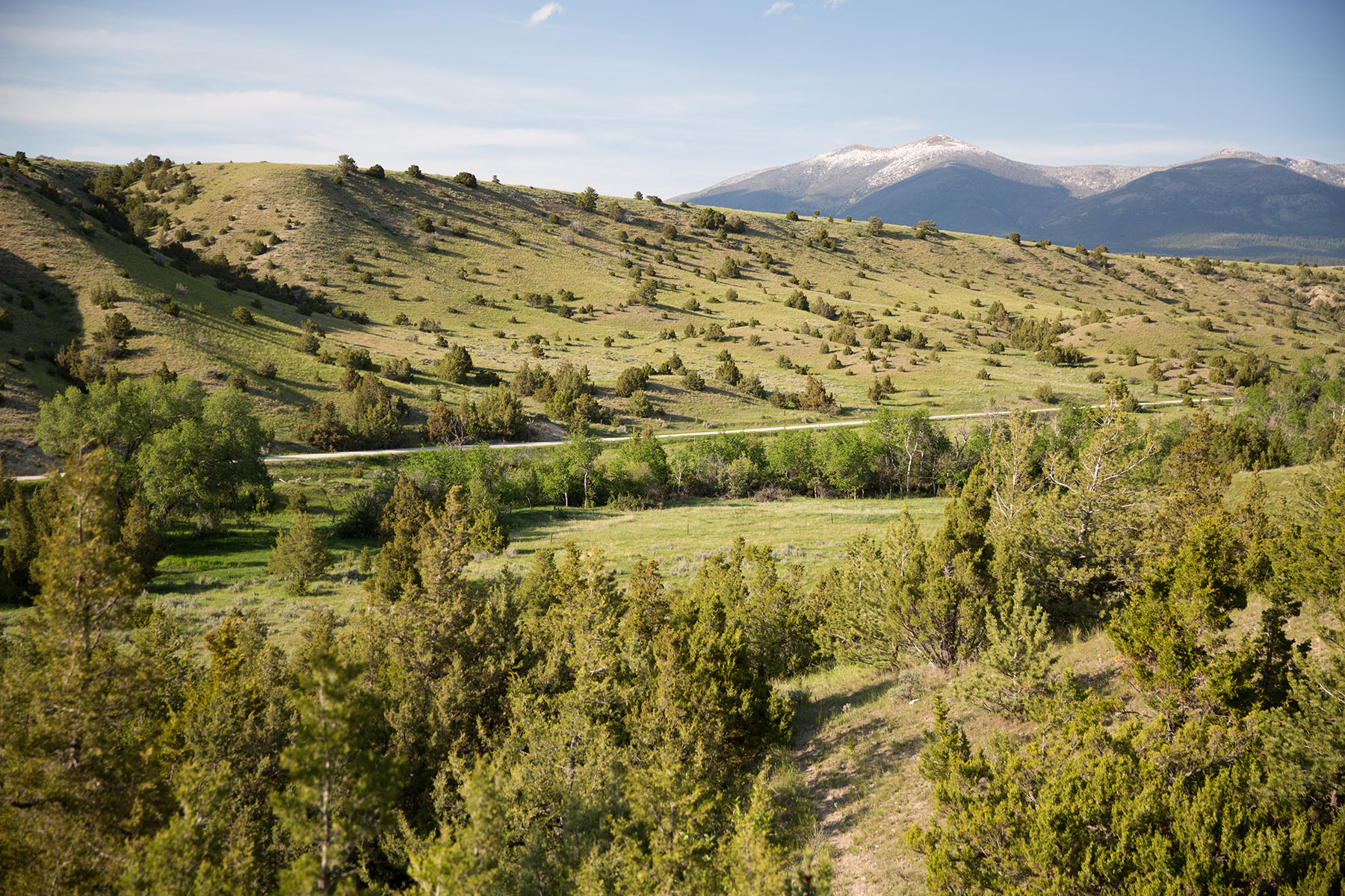 Lippert Gulch Ranch property picture 5 of 39