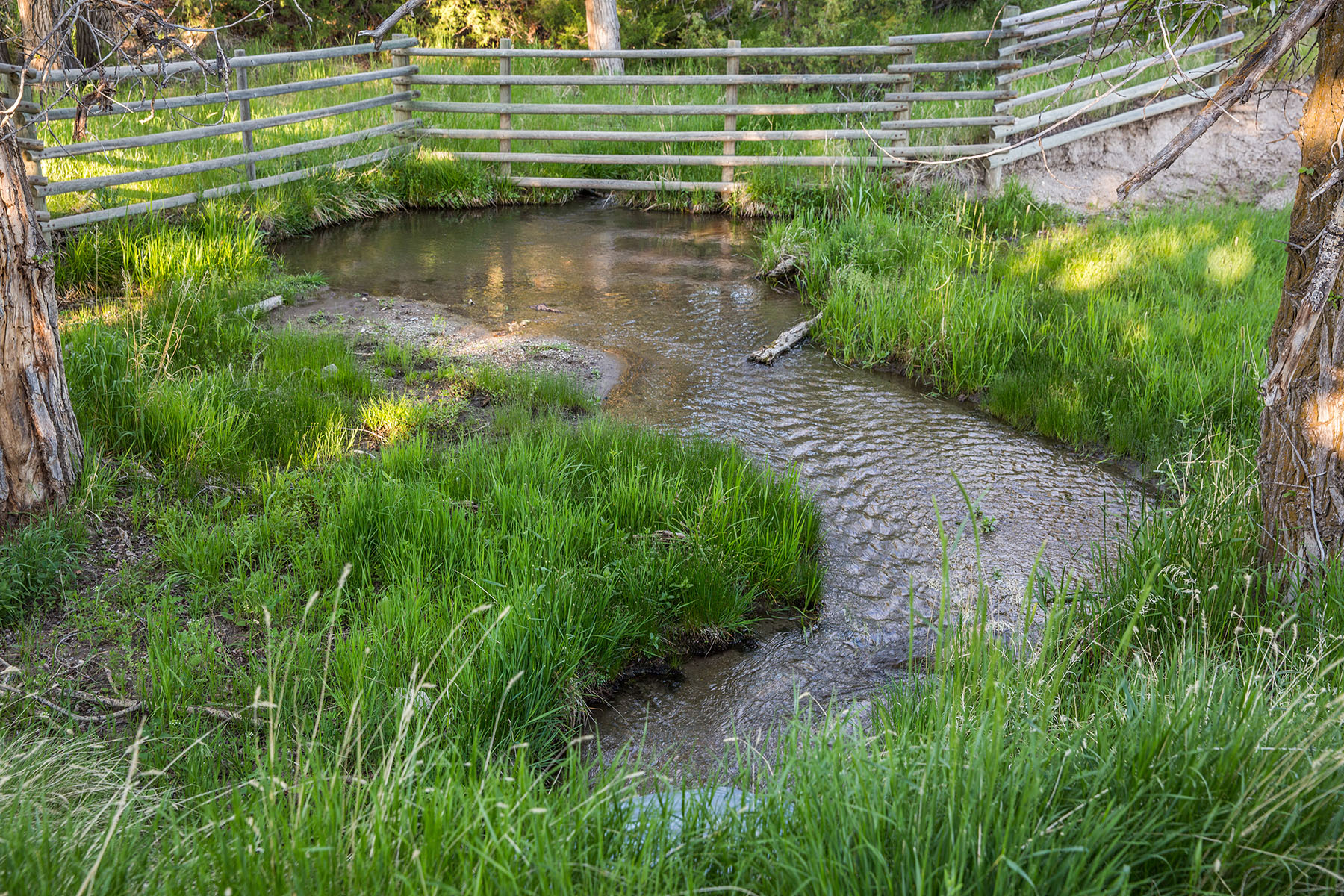 Lippert Gulch Ranch property picture 12 of 39