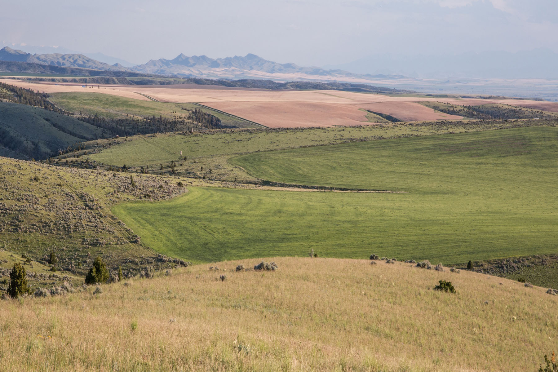 Lippert Gulch Ranch property picture 7 of 39