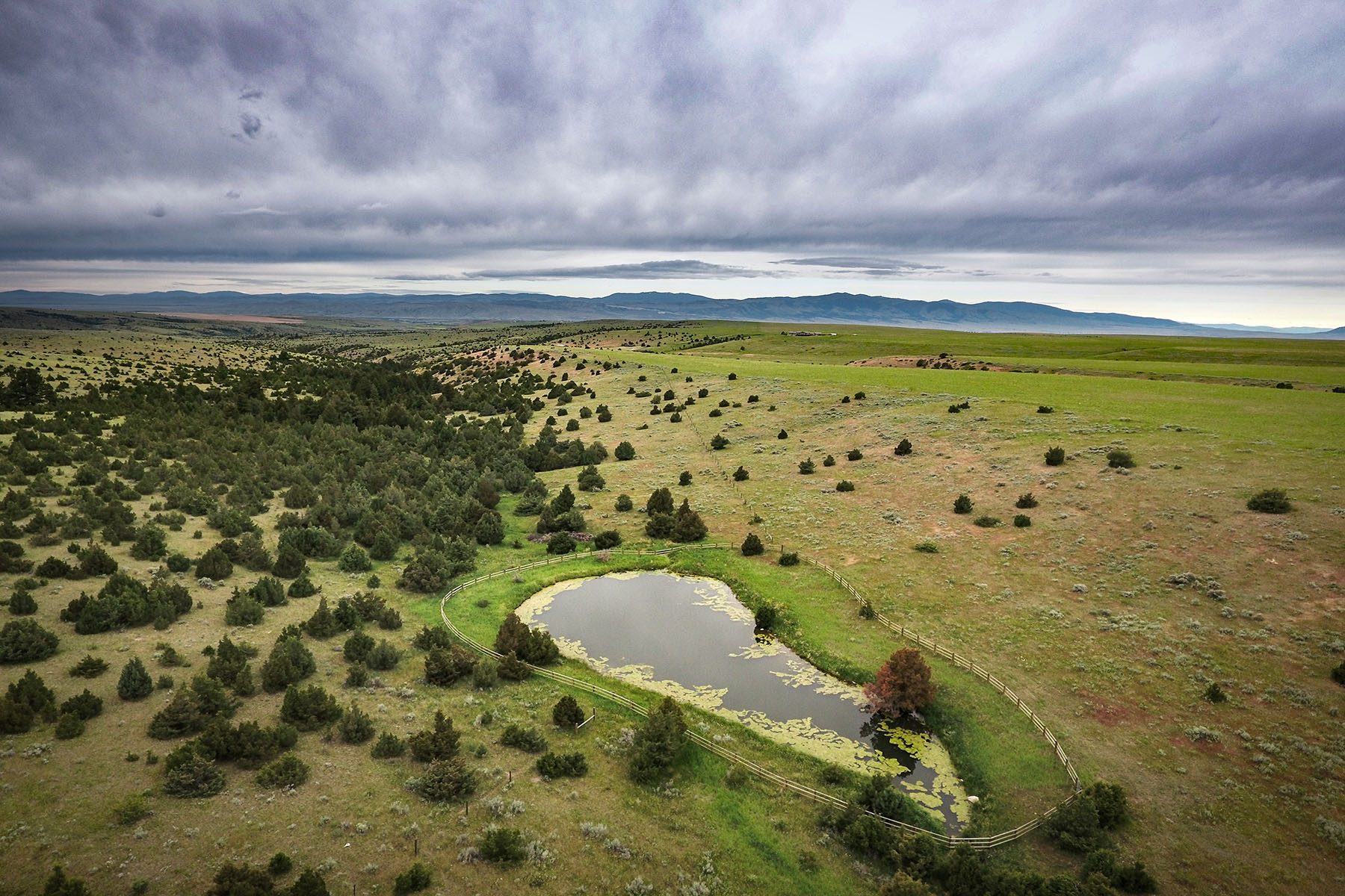 Lippert Gulch Ranch property picture 3 of 39