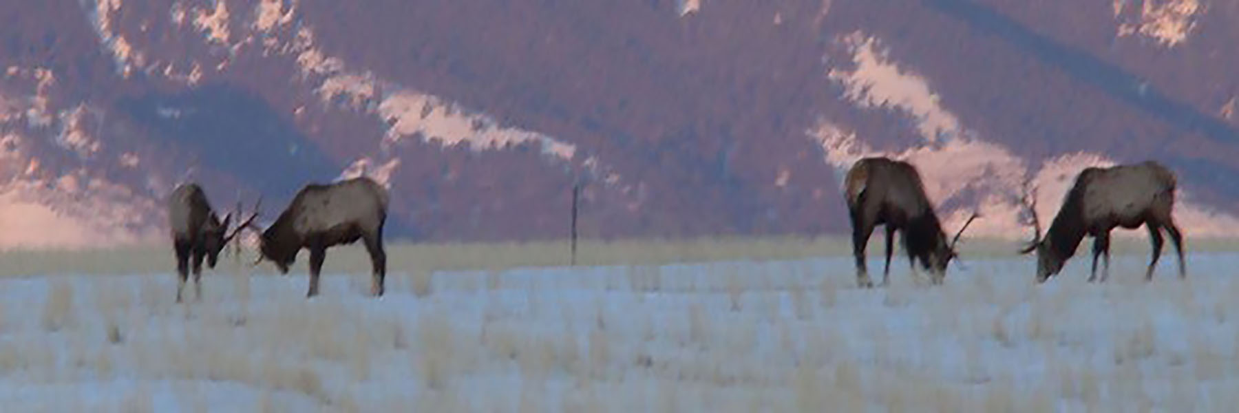 Lippert Gulch Ranch property picture 26 of 39