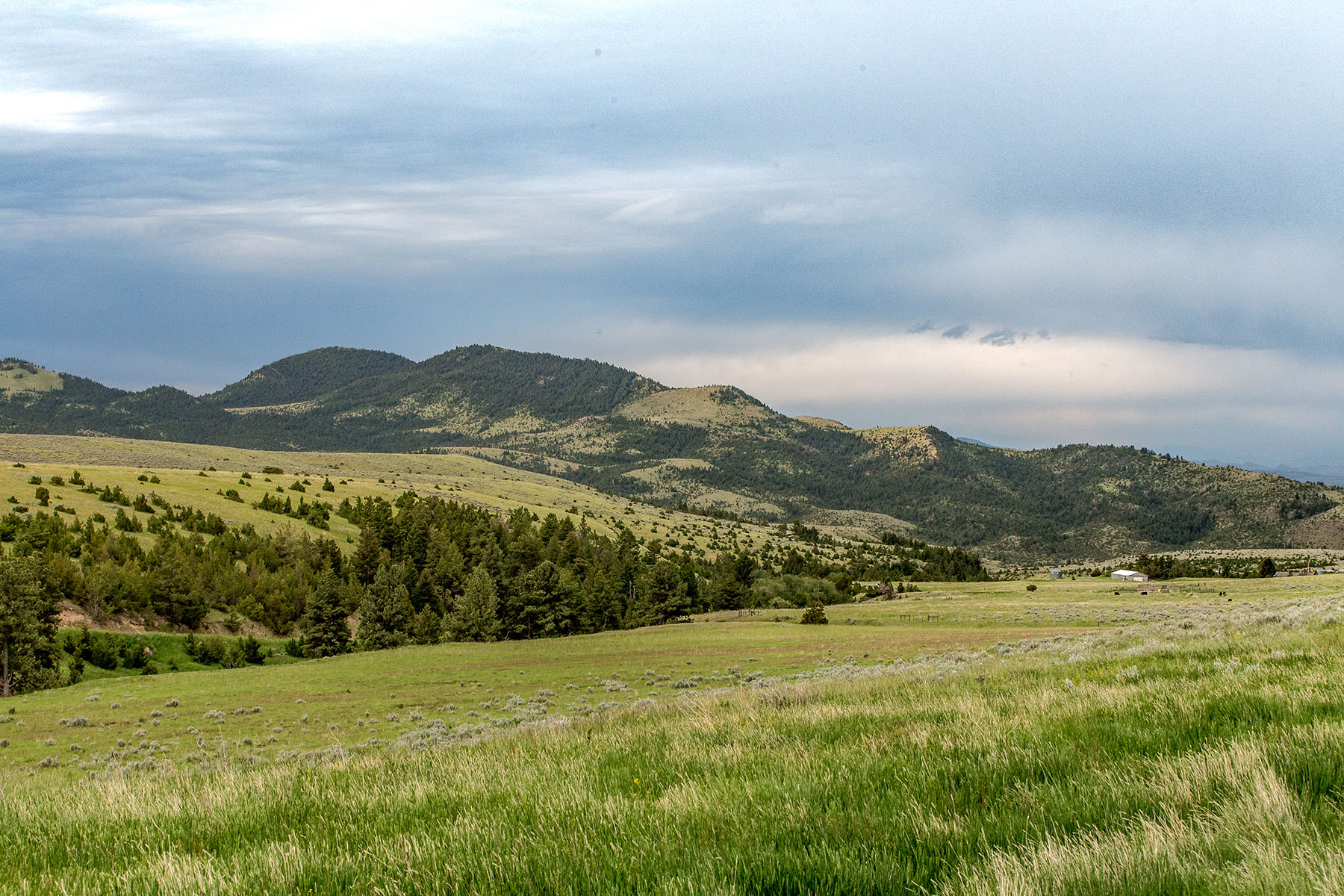 Lippert Gulch Ranch property picture 23 of 39