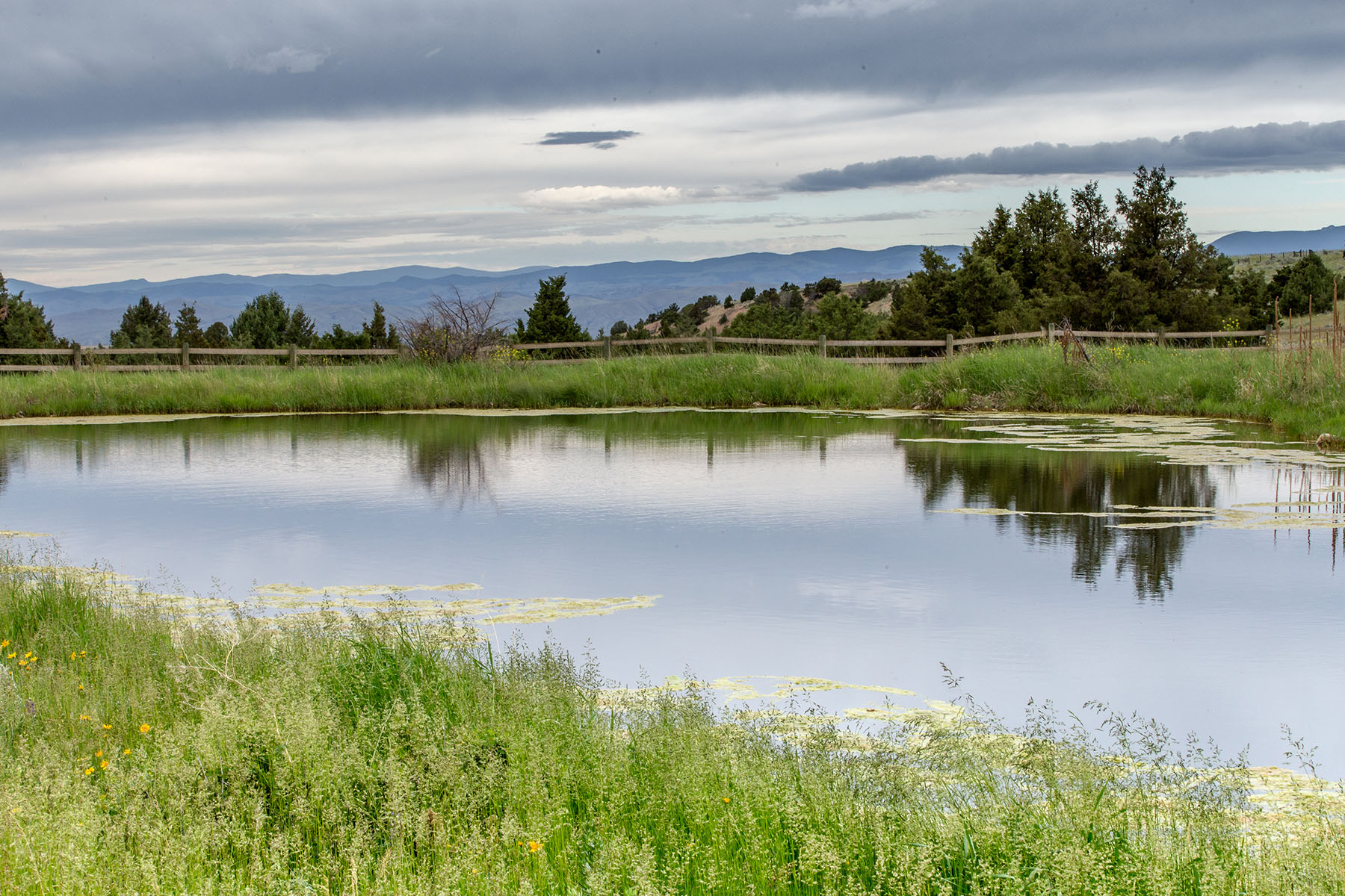 Lippert Gulch Ranch property picture 32 of 39