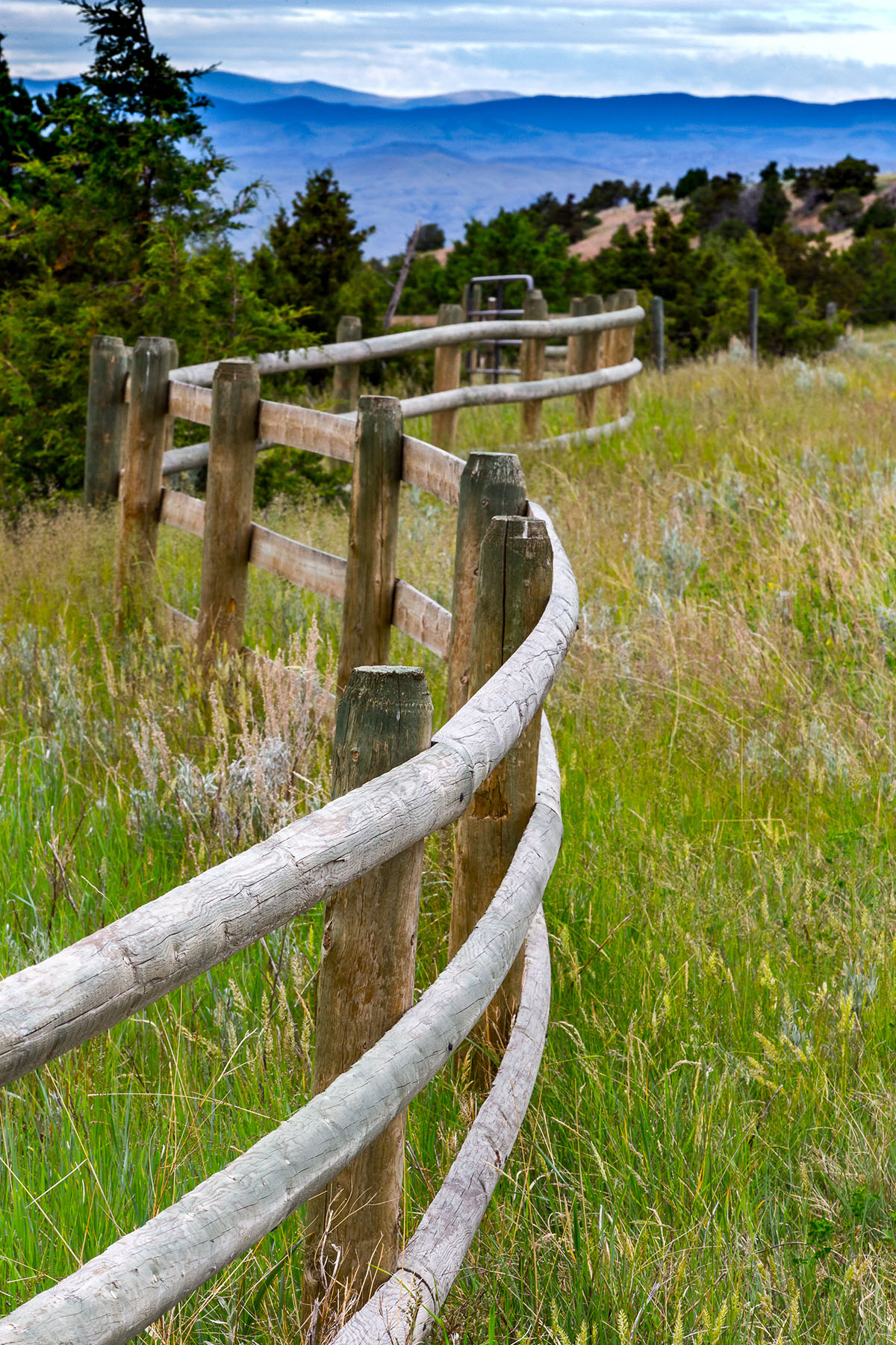 Lippert Gulch Ranch property picture 30 of 39