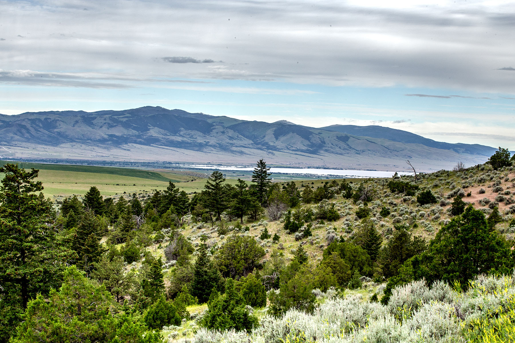 Lippert Gulch Ranch property picture 21 of 39