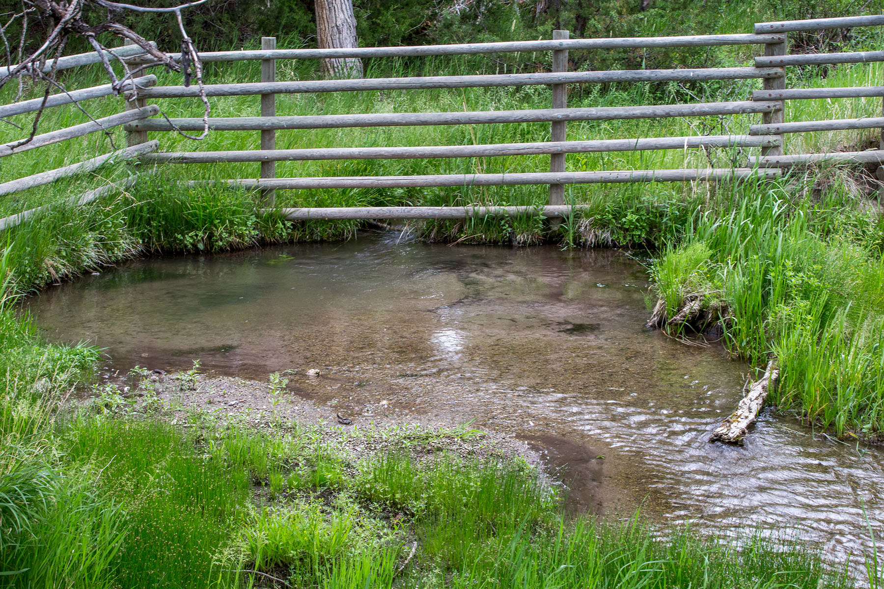 Lippert Gulch Ranch property picture 17 of 39