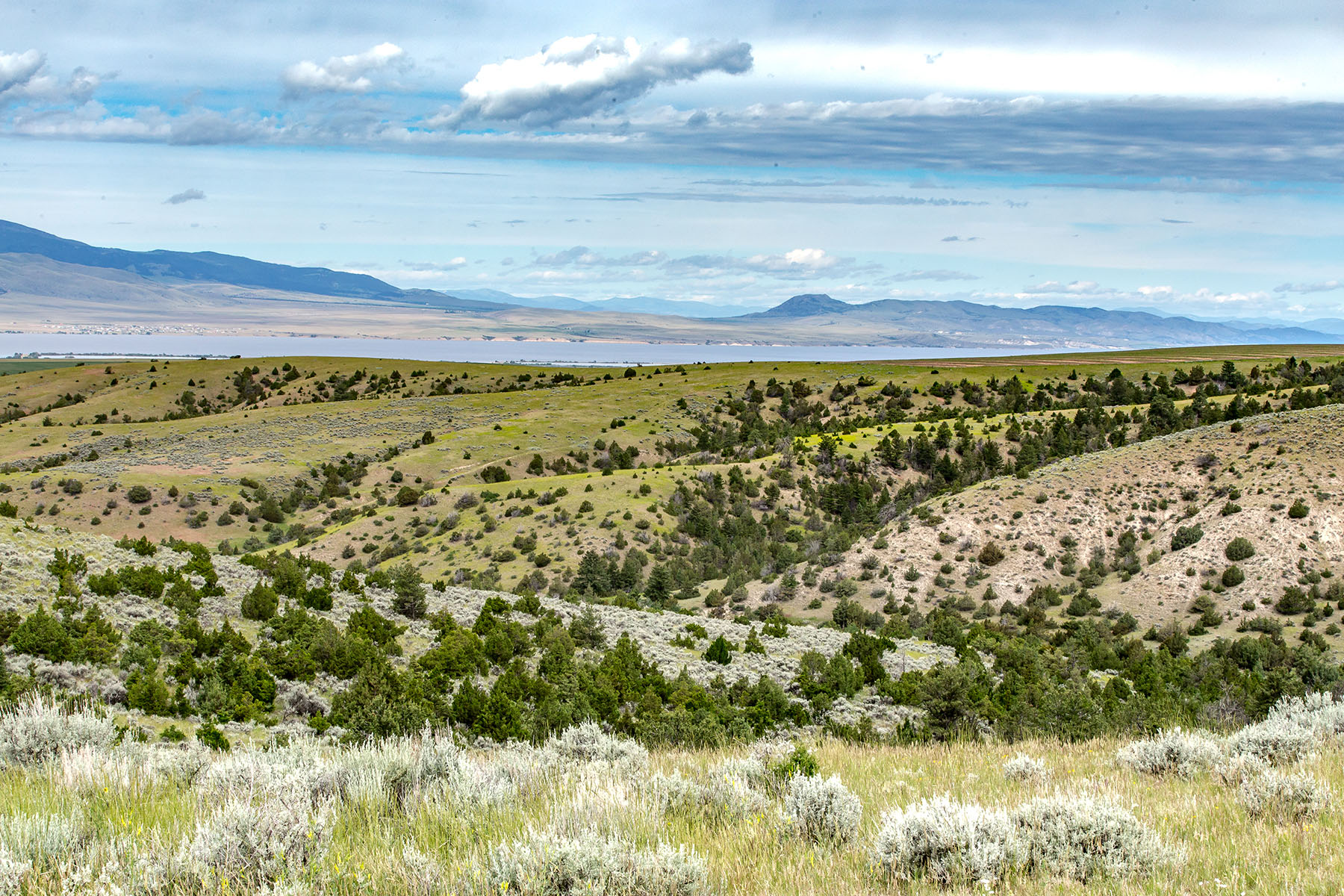 Lippert Gulch Ranch property picture 24 of 39