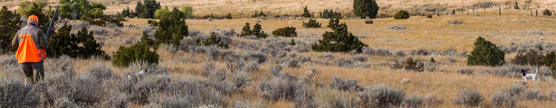 Lippert Gulch Ranch property picture 16 of 39