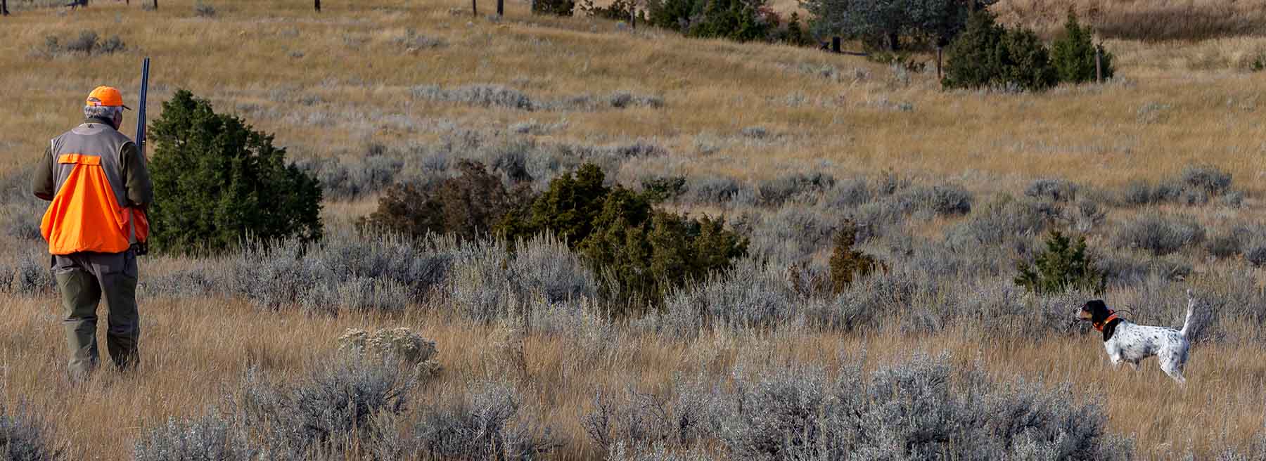 Lippert Gulch Ranch property picture 13 of 39