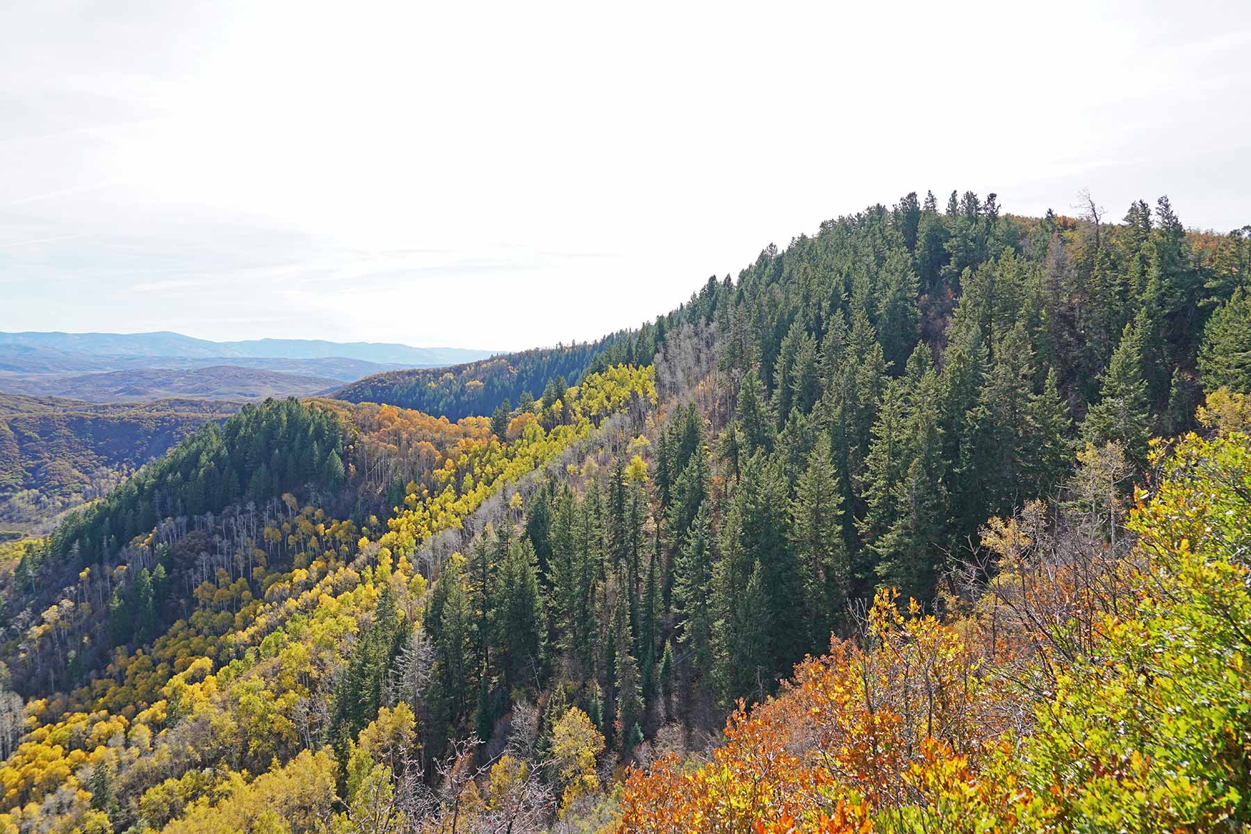 Ghost Ranch property picture 40 of 80