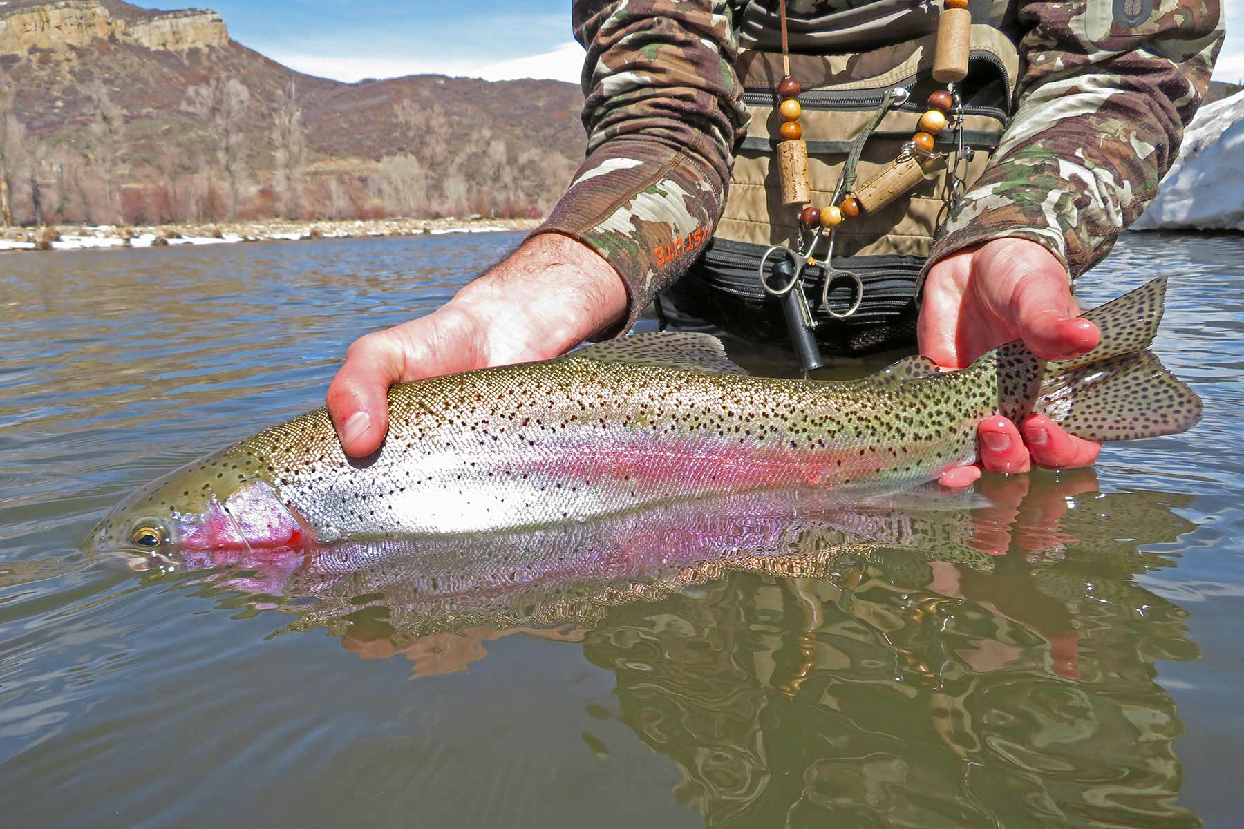 Ghost Ranch property picture 57 of 80