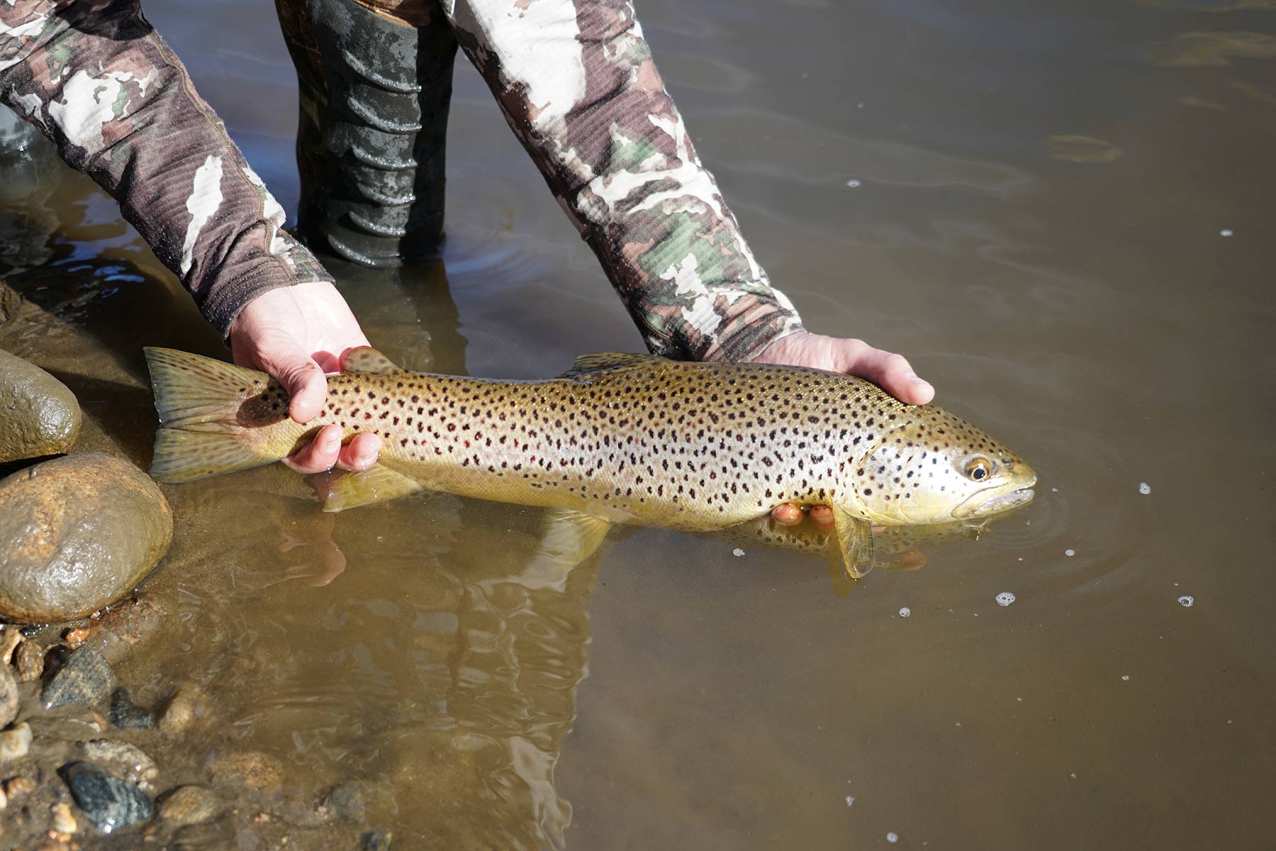 Ghost Ranch property picture 48 of 80