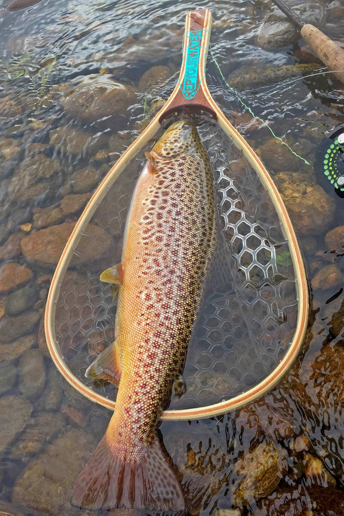 Ghost Ranch property picture 26 of 80