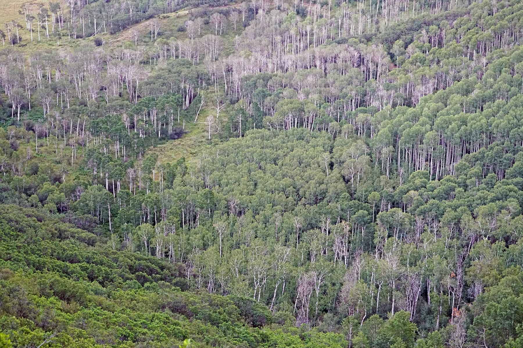 Ghost Ranch property picture 56 of 80