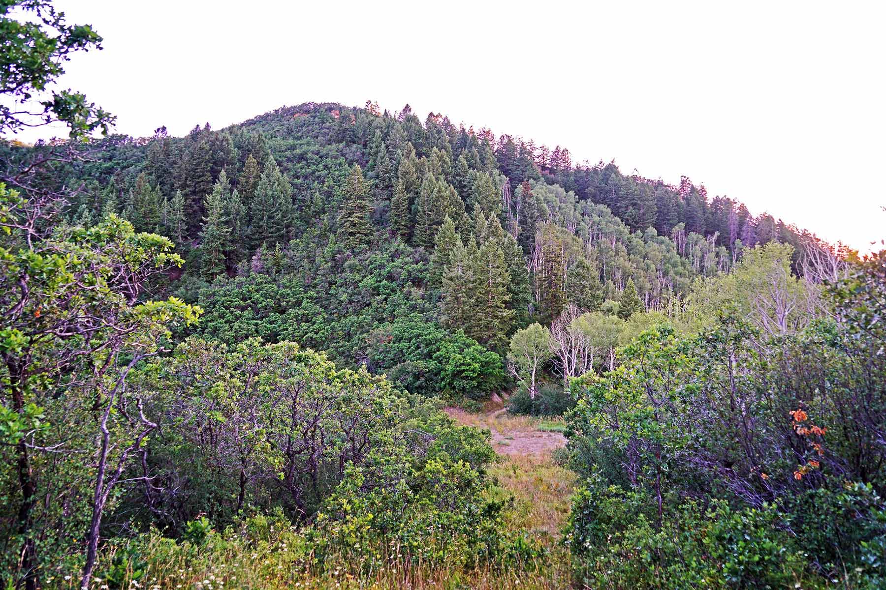 Ghost Ranch property picture 75 of 80
