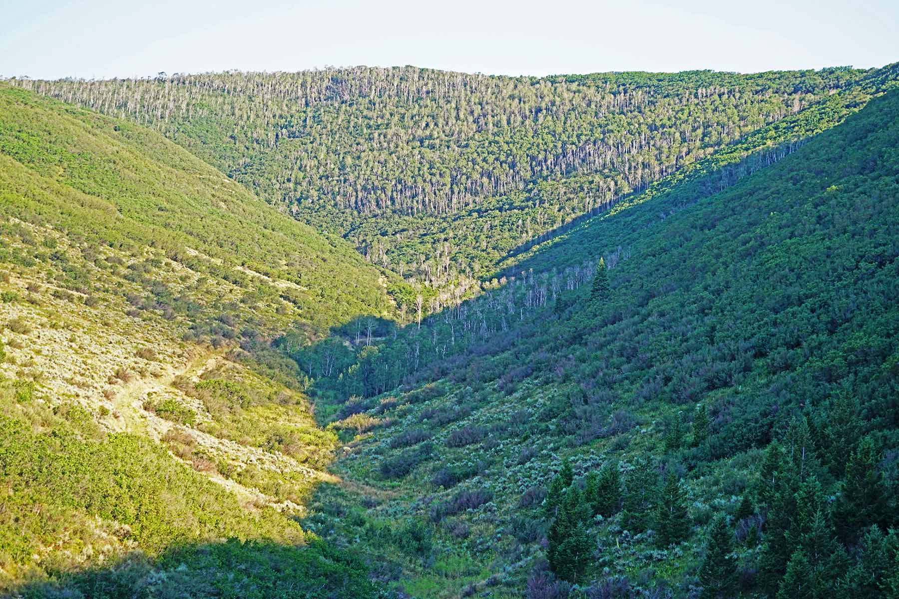 Ghost Ranch property picture 49 of 80