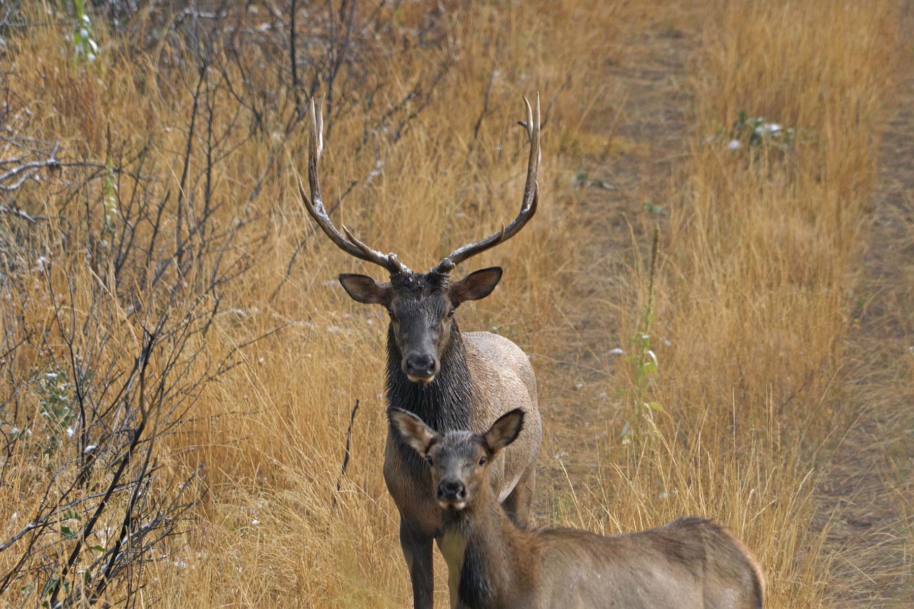 Ghost Ranch property picture 10 of 80