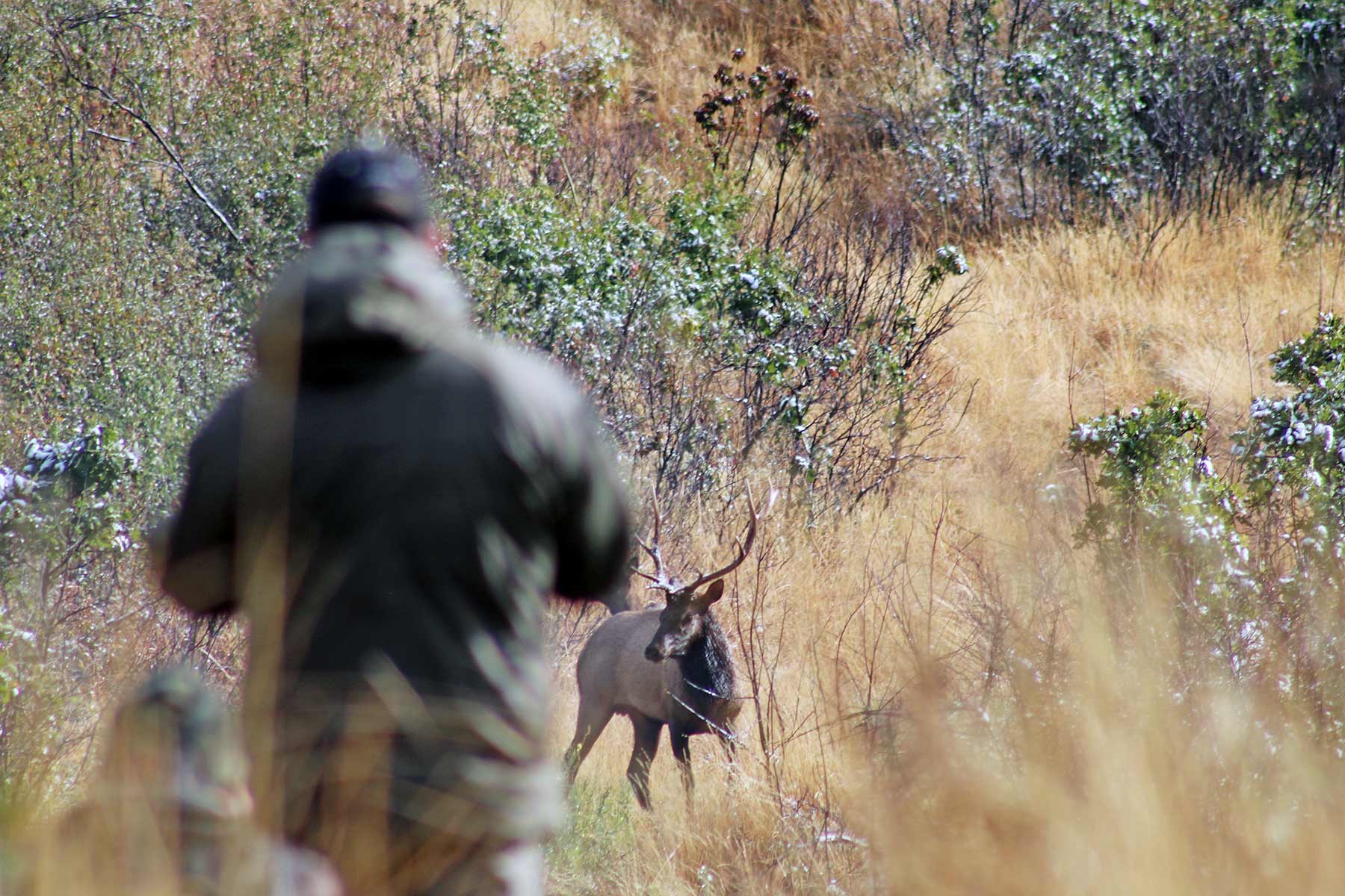 Ghost Ranch property picture 9 of 80