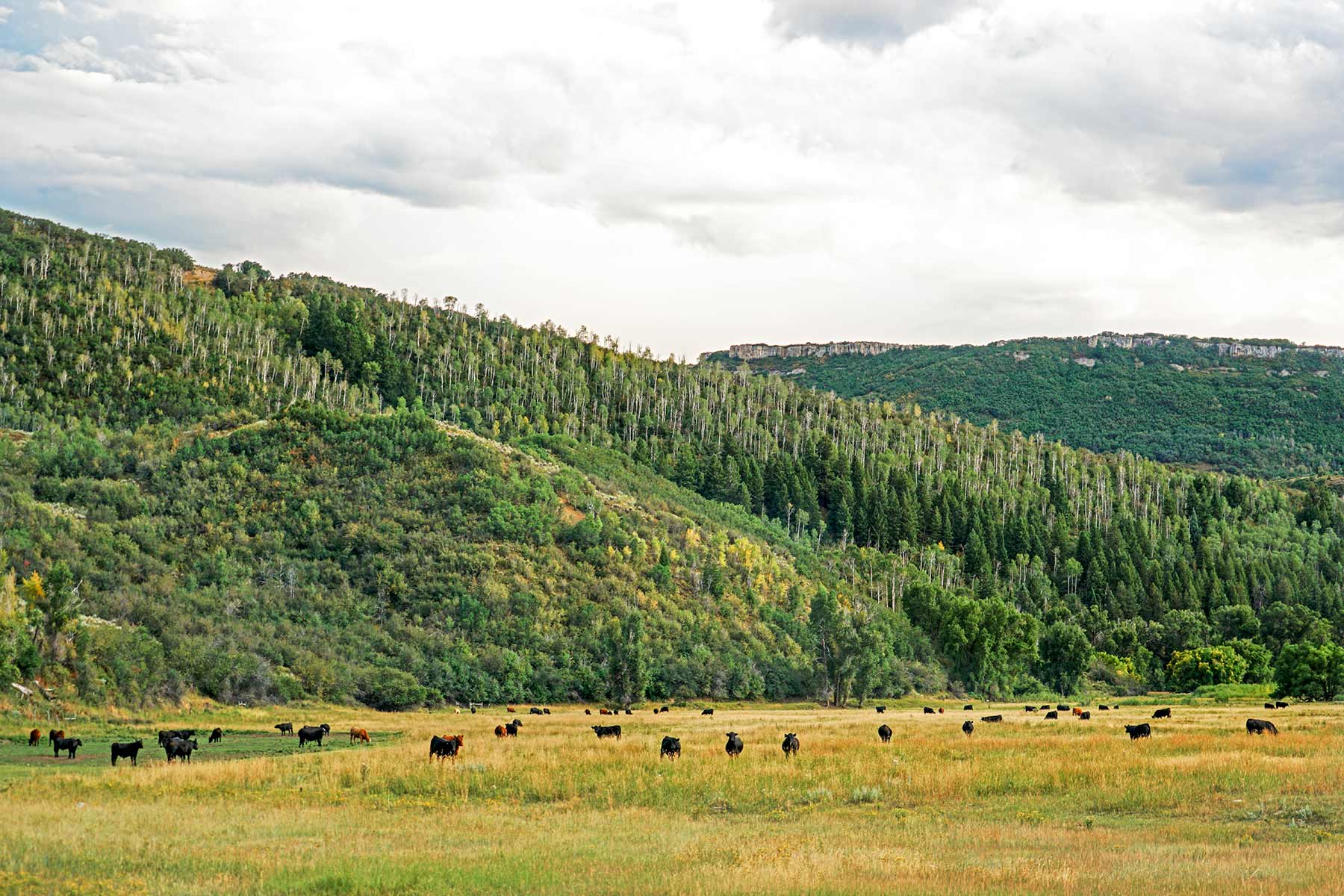 Ghost Ranch property picture 70 of 80