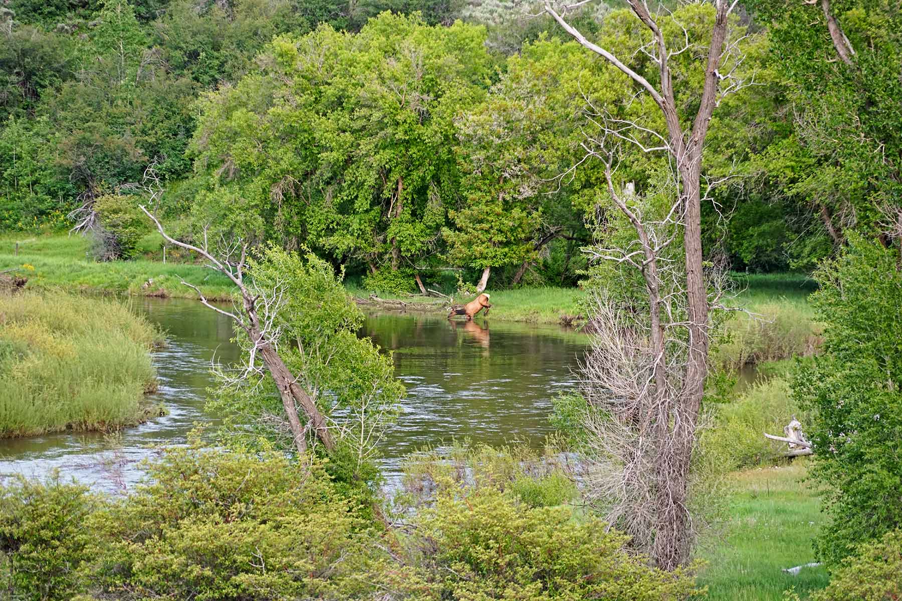 Ghost Ranch property picture 71 of 80