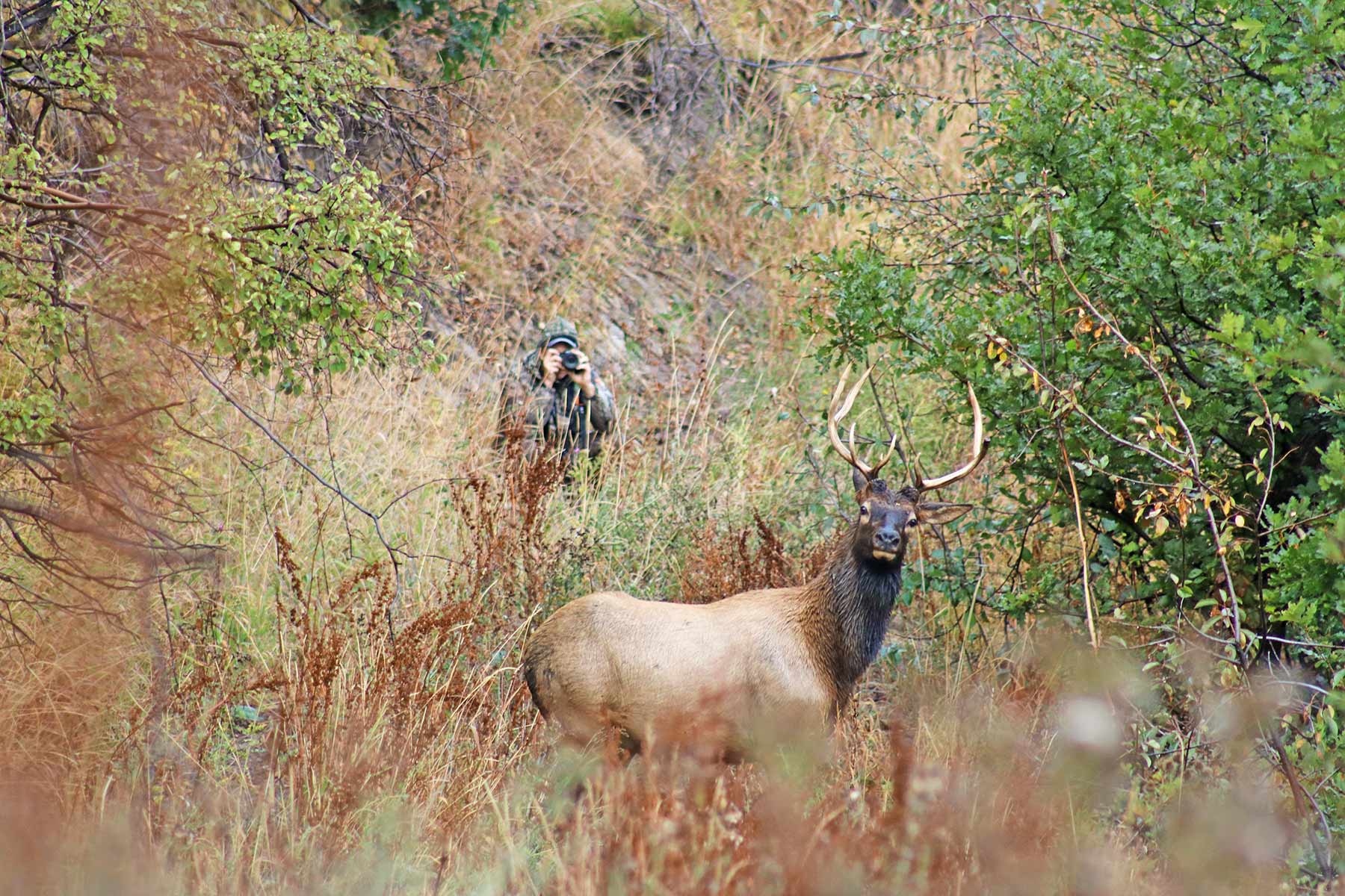 Ghost Ranch property picture 73 of 80