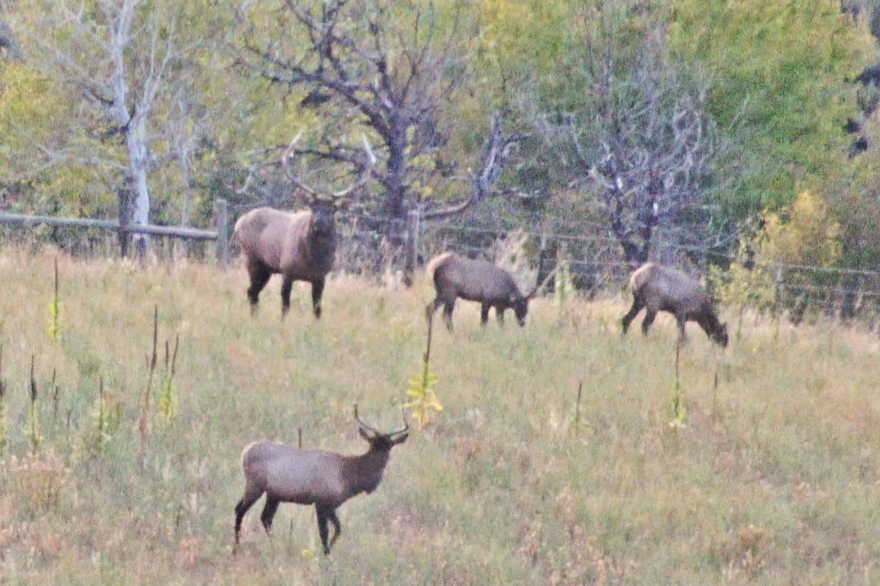 Ghost Ranch property picture 42 of 80