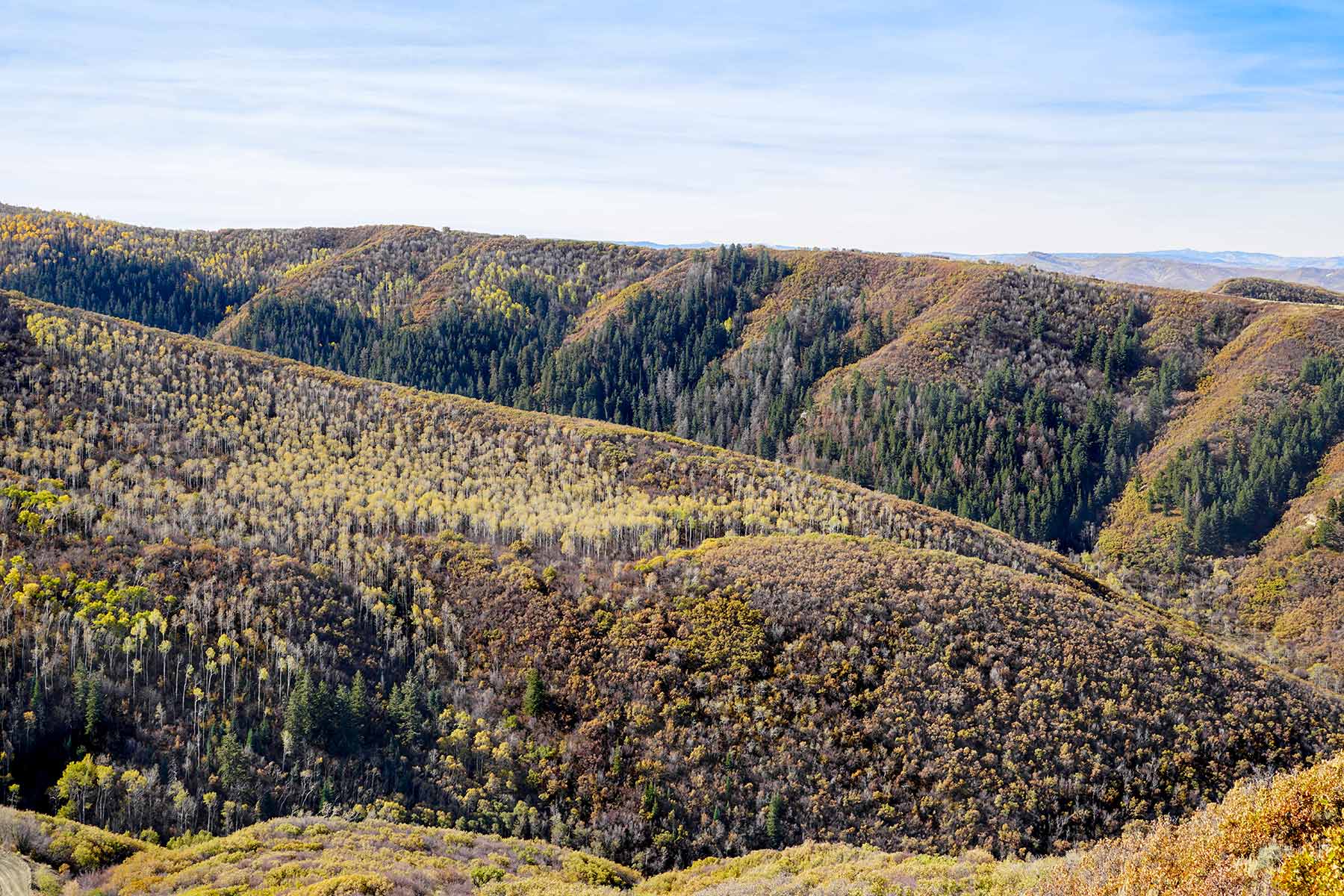 Ghost Ranch property picture 41 of 80