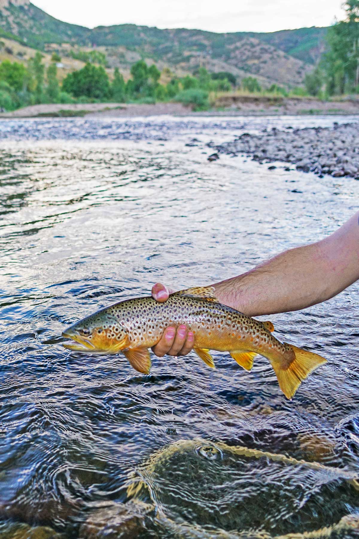 Ghost Ranch property picture 18 of 80
