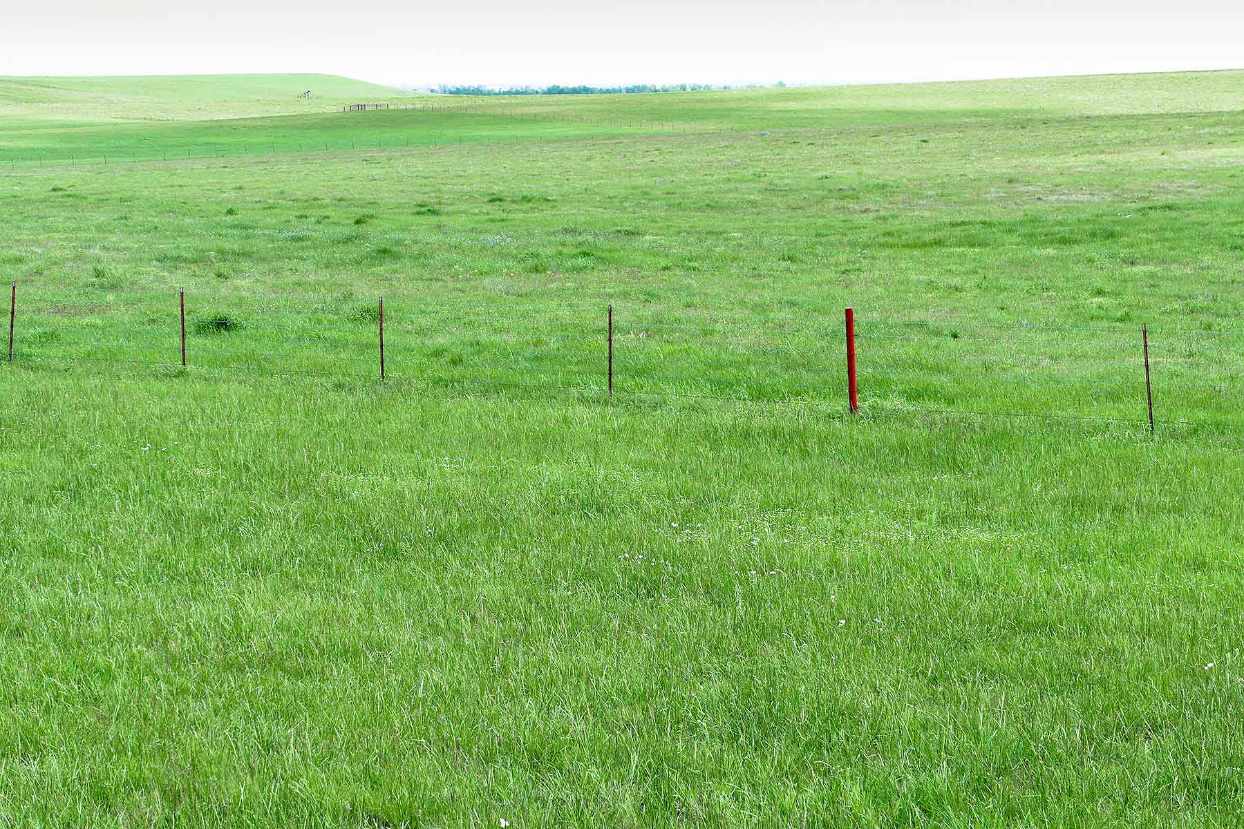 Star Lake Ranch property picture 14 of 72