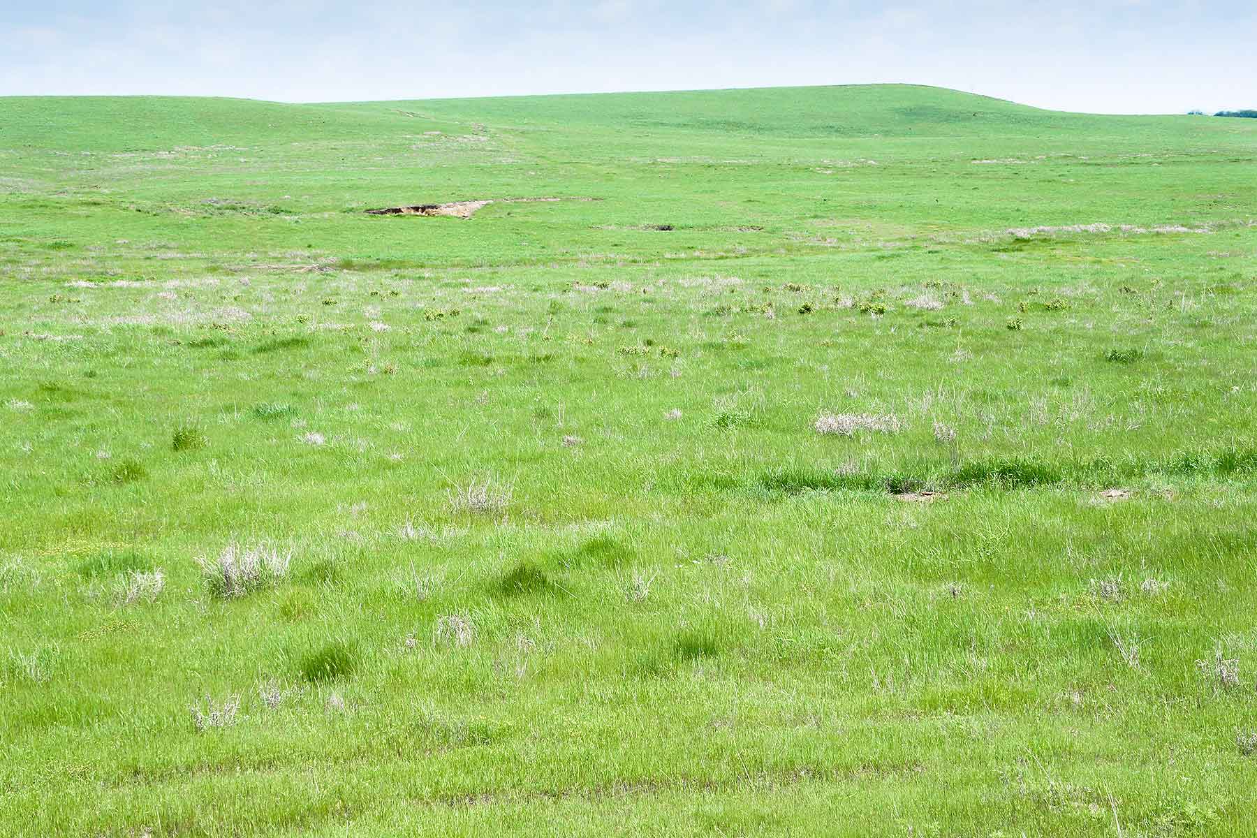 Star Lake Ranch property picture 30 of 72