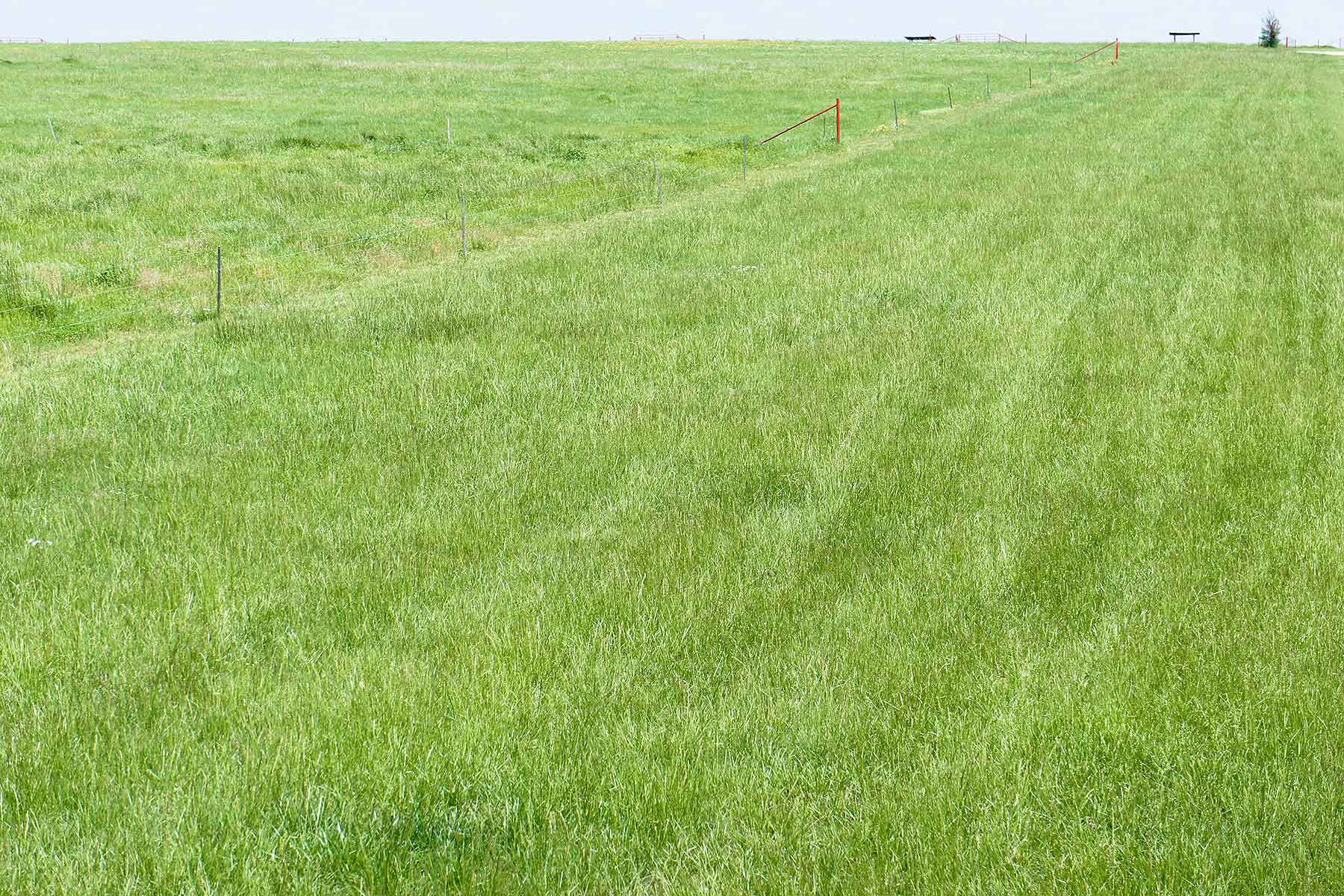 Star Lake Ranch property picture 63 of 72