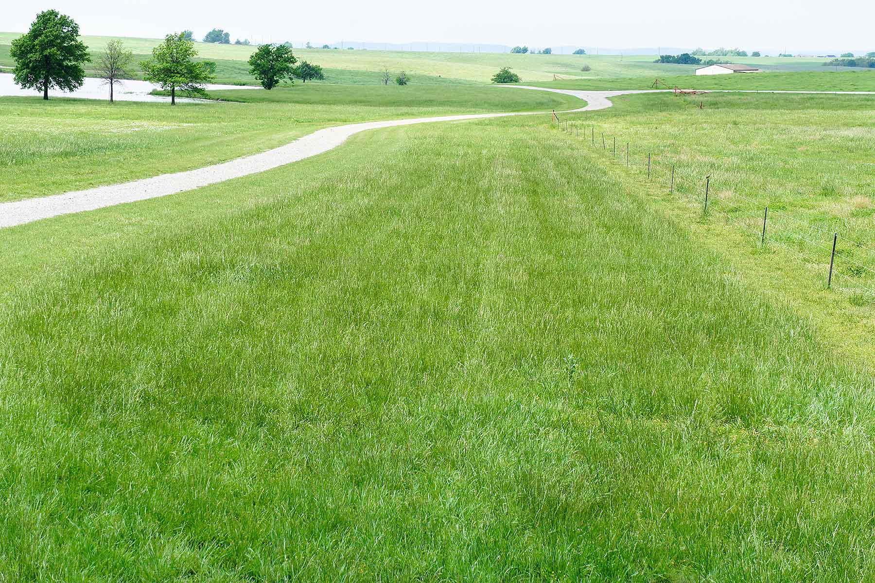 Star Lake Ranch property picture 64 of 72