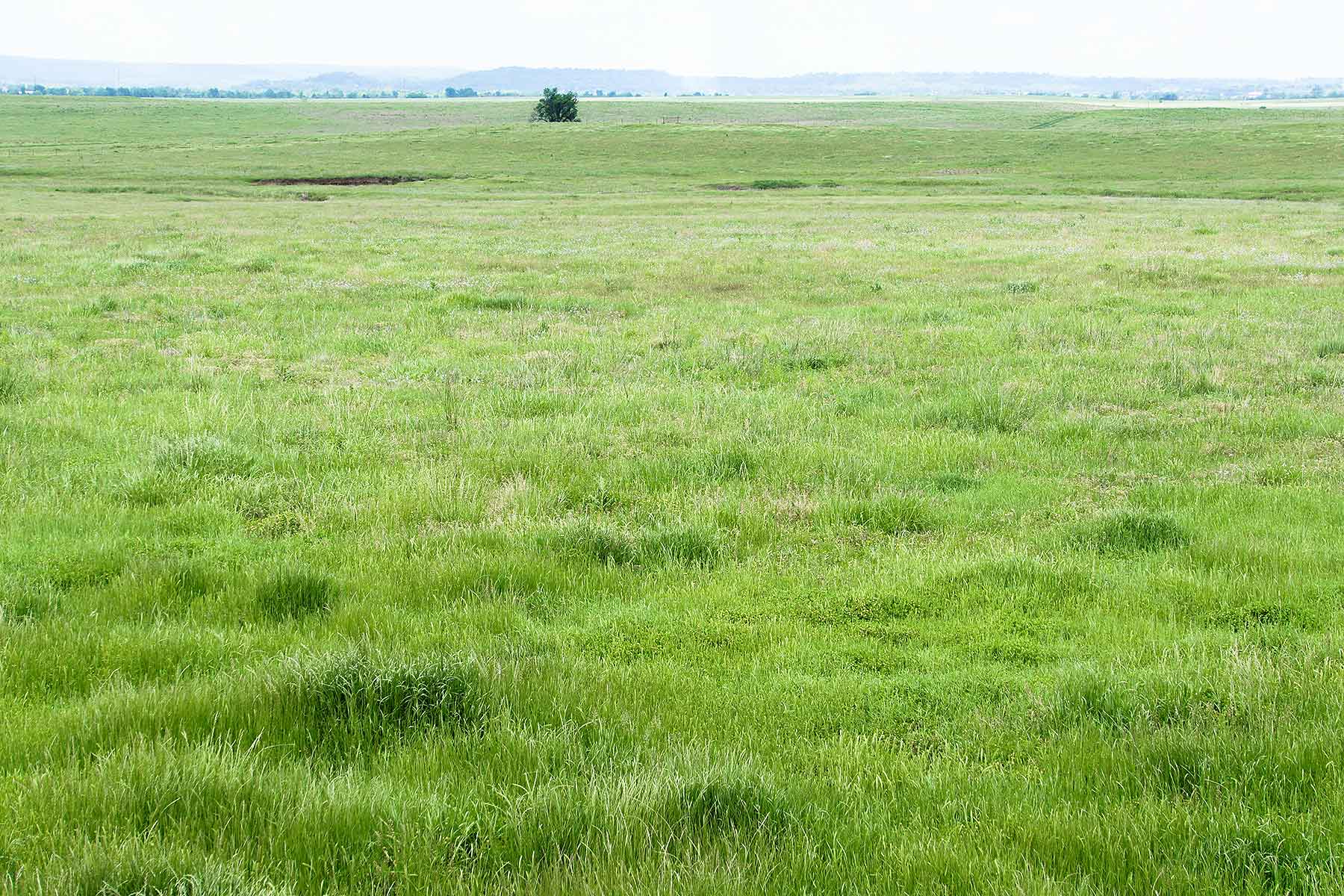 Star Lake Ranch property picture 59 of 72