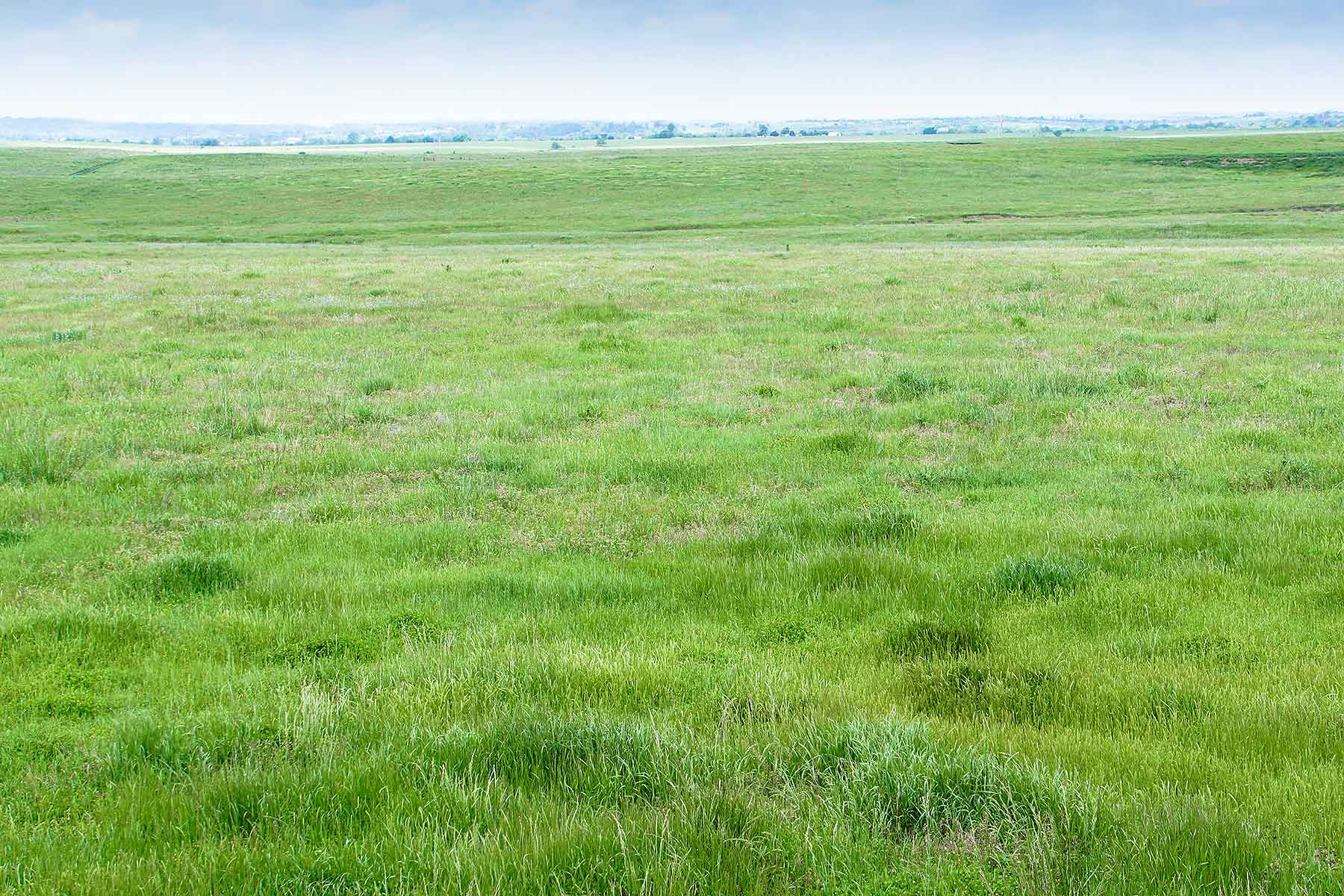 Star Lake Ranch property picture 12 of 72