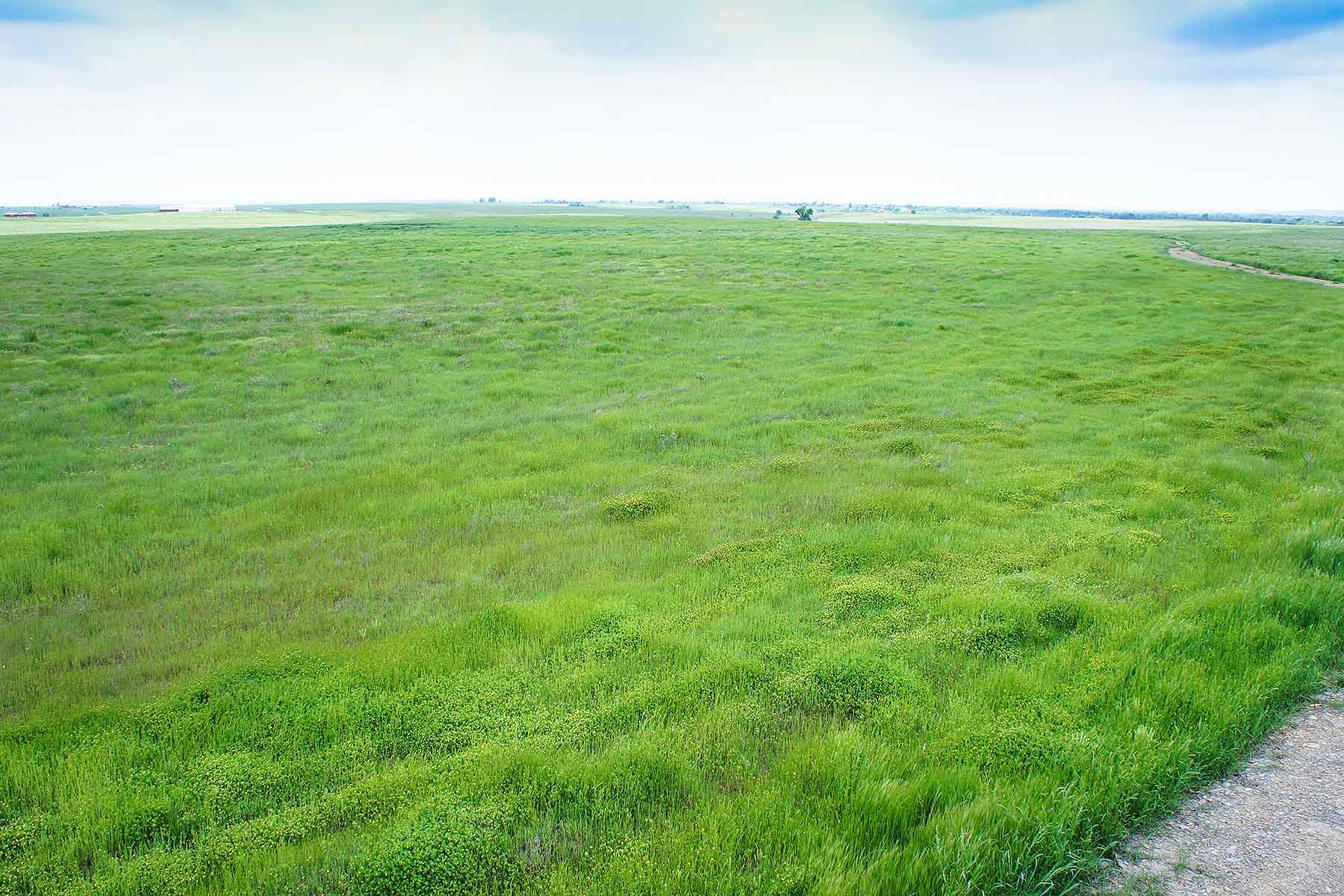 Star Lake Ranch property picture 70 of 72