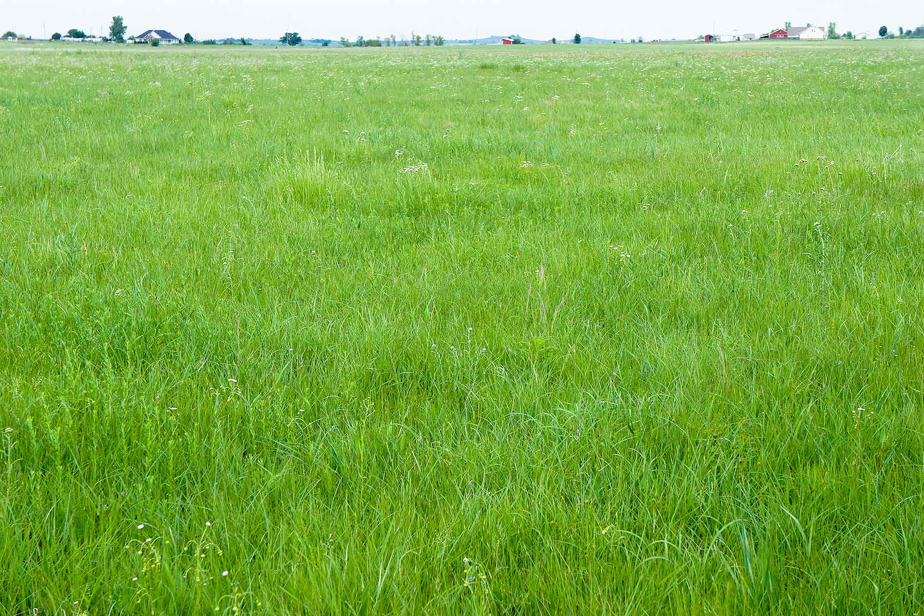 Star Lake Ranch property picture 69 of 72