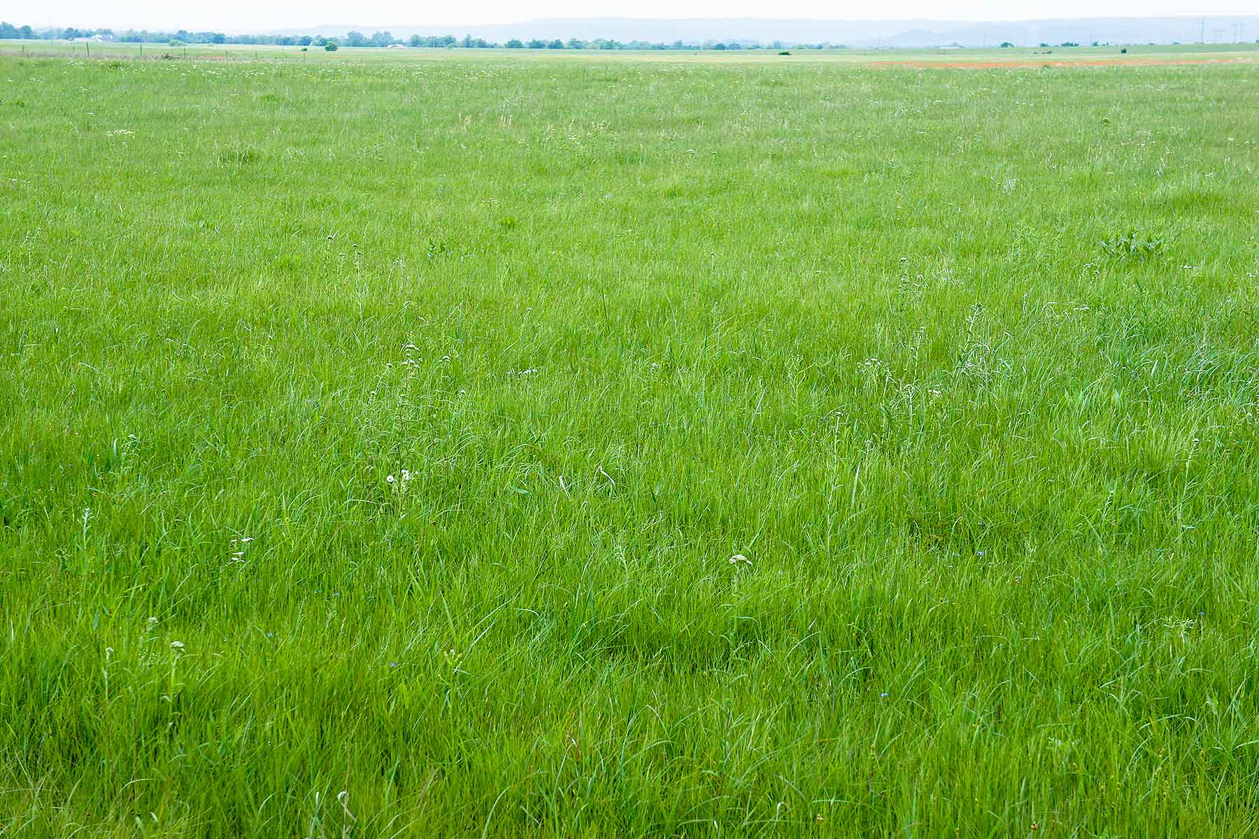 Star Lake Ranch property picture 16 of 72