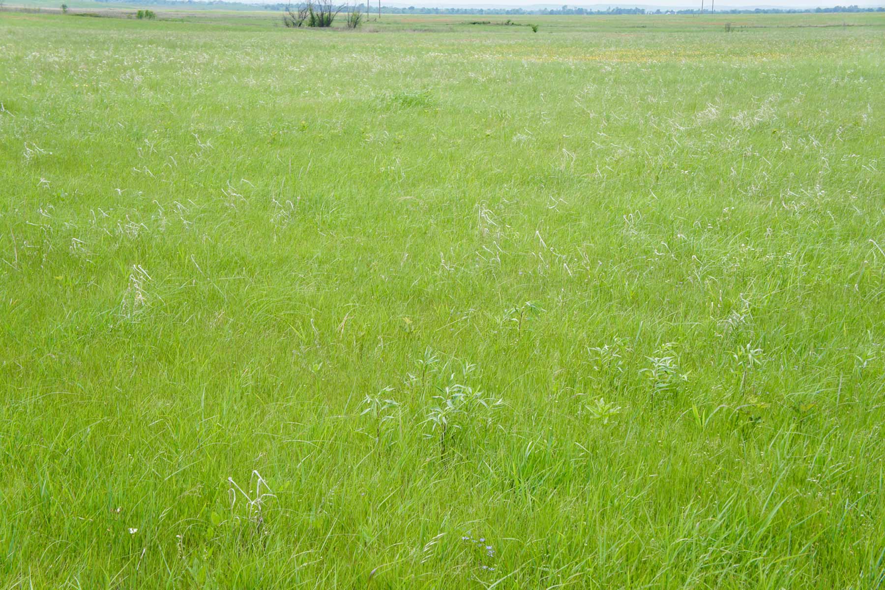 Star Lake Ranch property picture 72 of 72