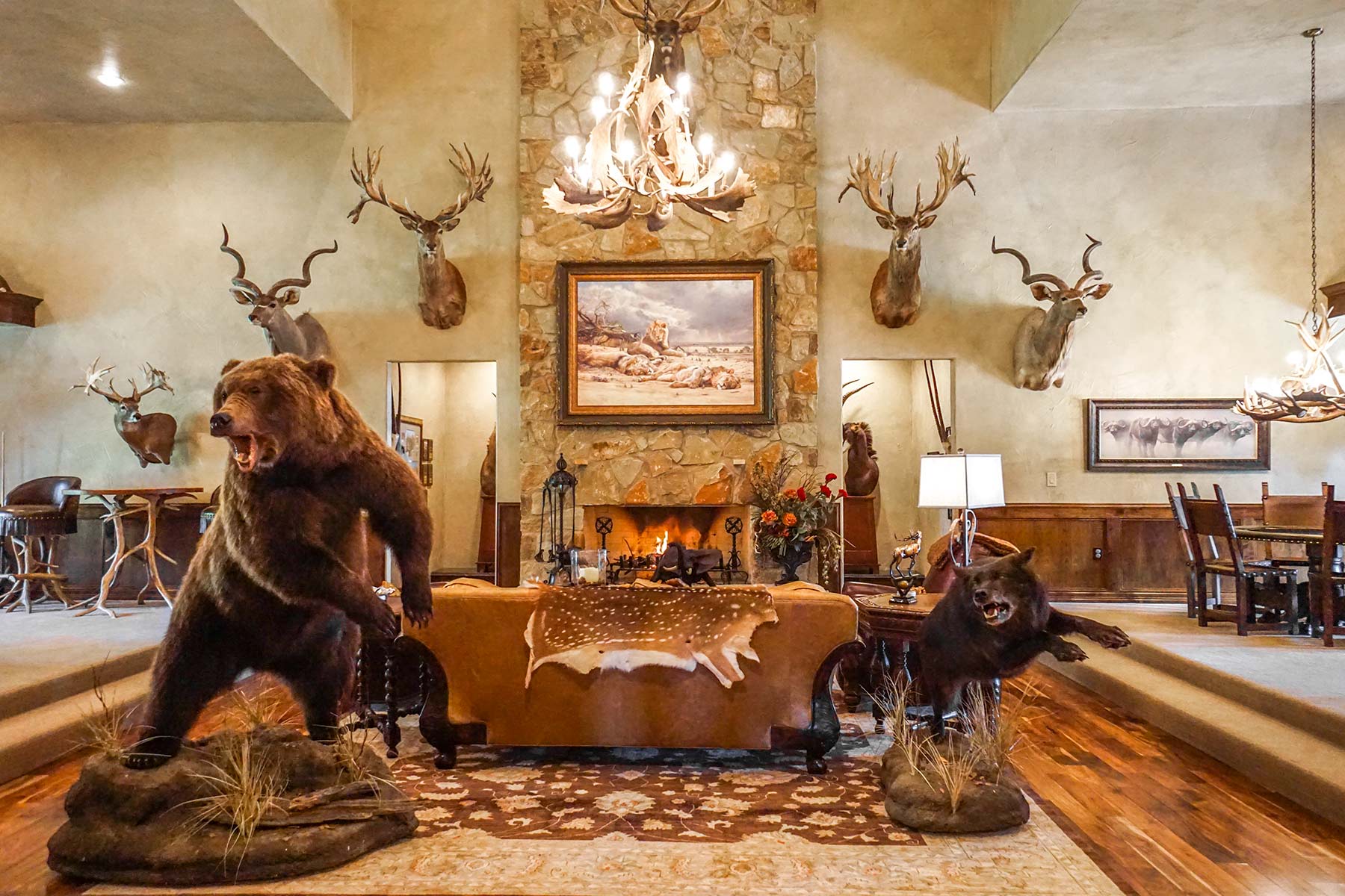 Yiotta Ranch property picture 16 of 50