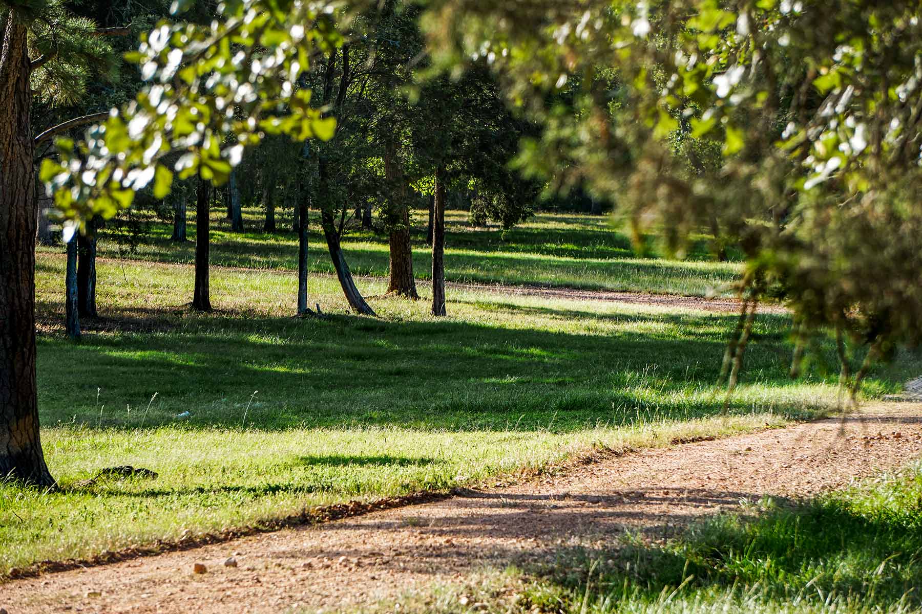 Yiotta Ranch property picture 26 of 50